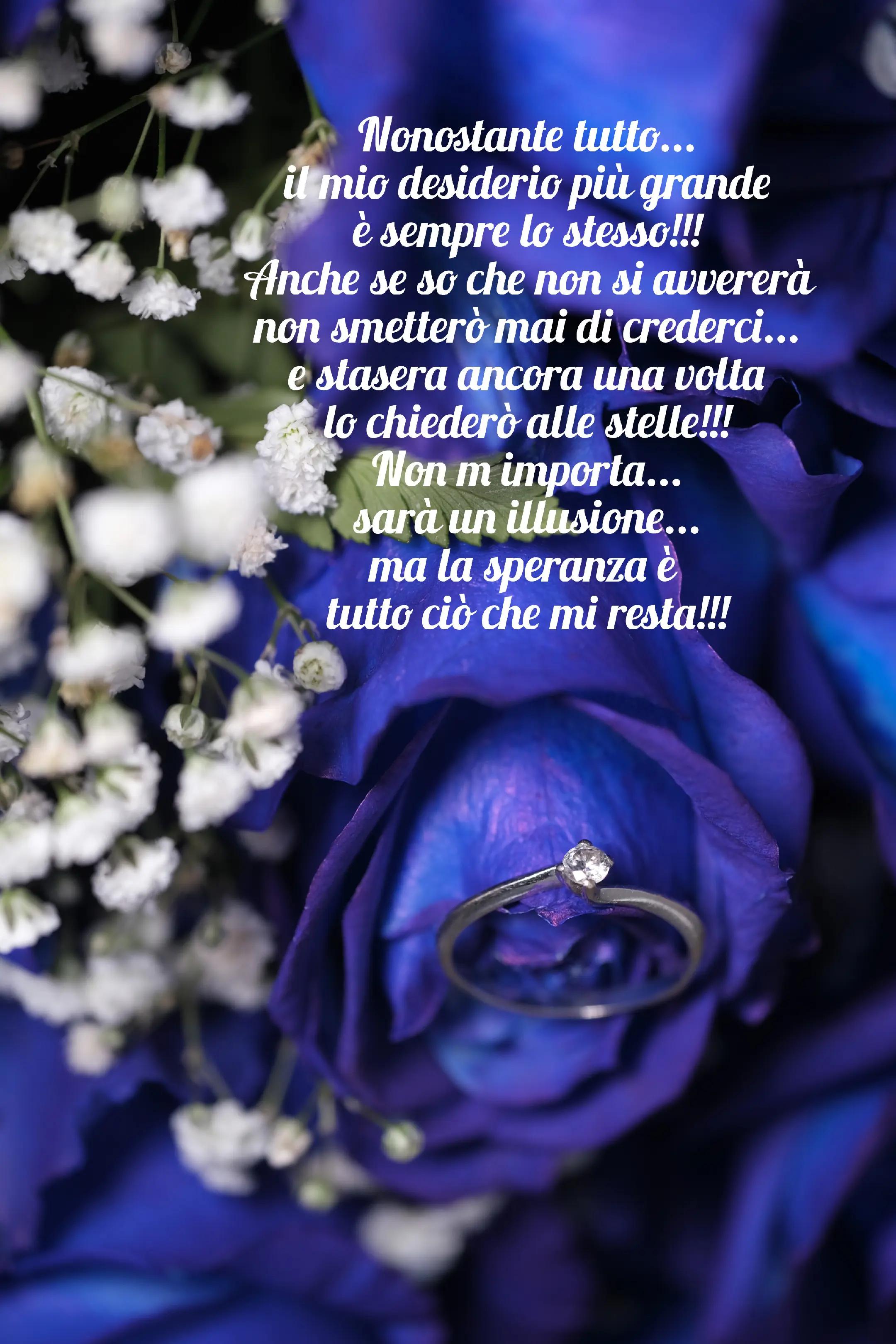 @livia