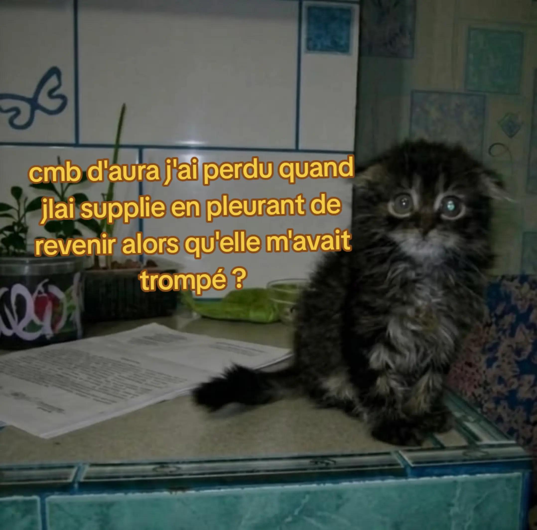 @seven