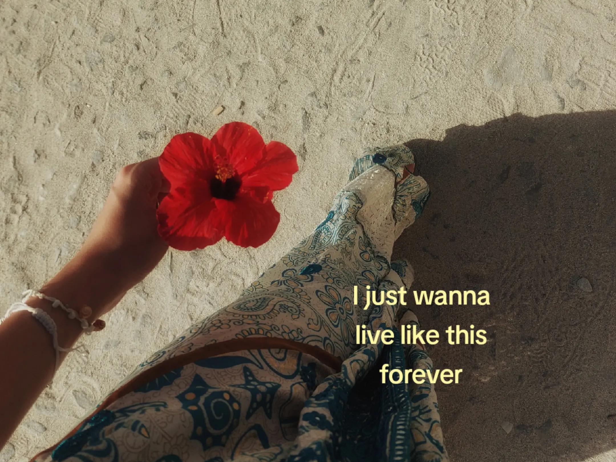 @elisa ͙⋆