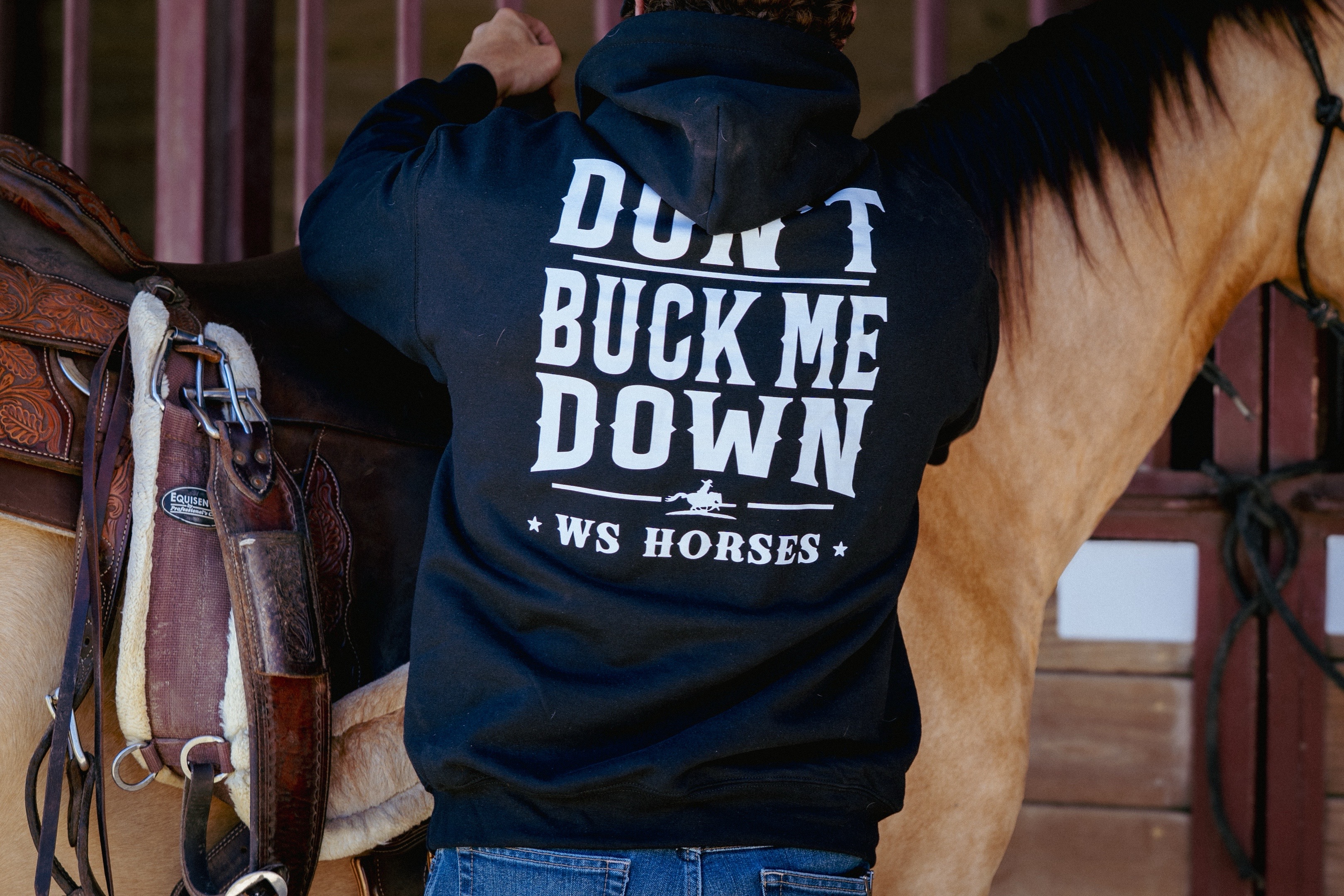@WS Horses