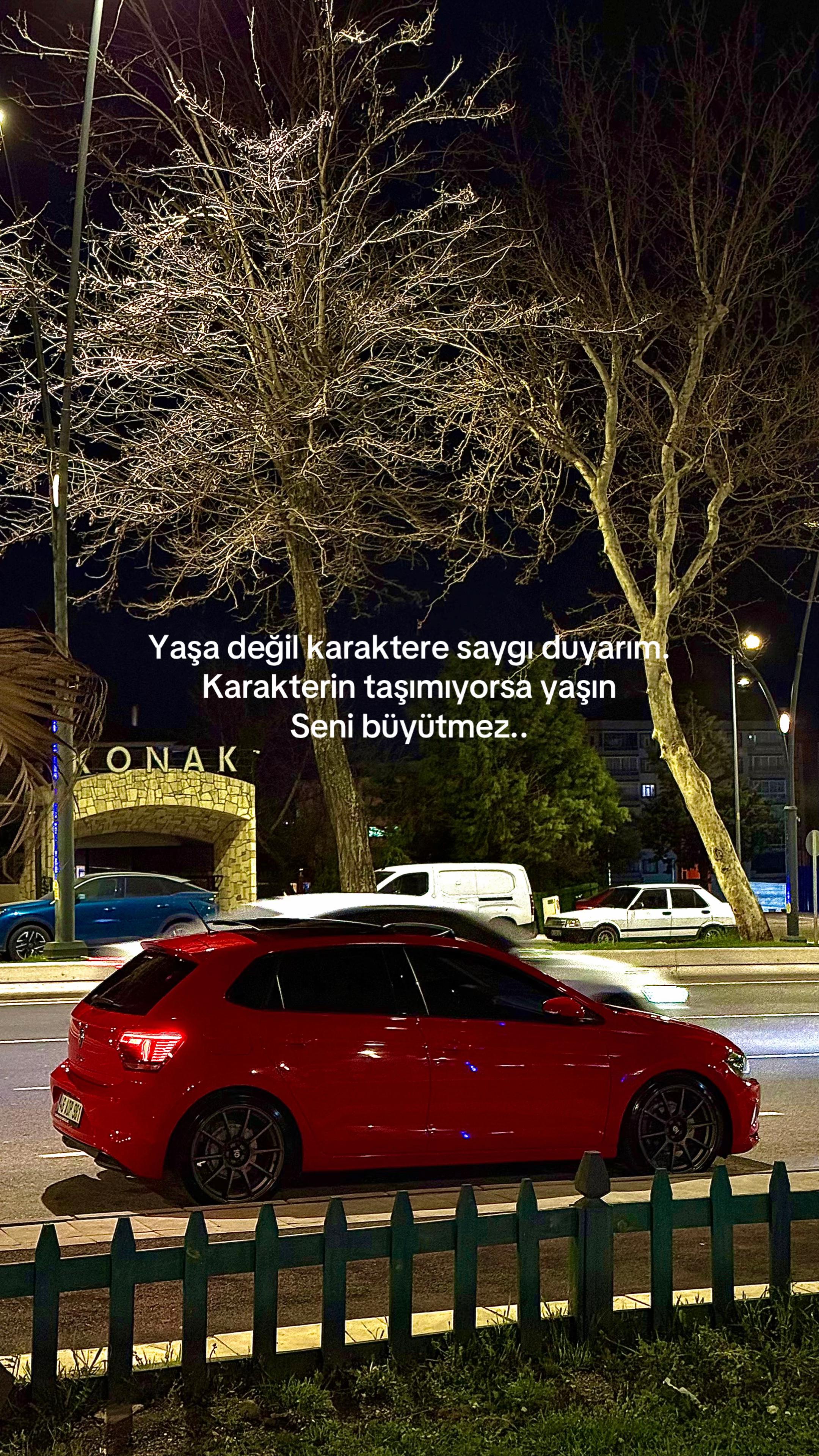 @Mehmet Alparslan Paşa