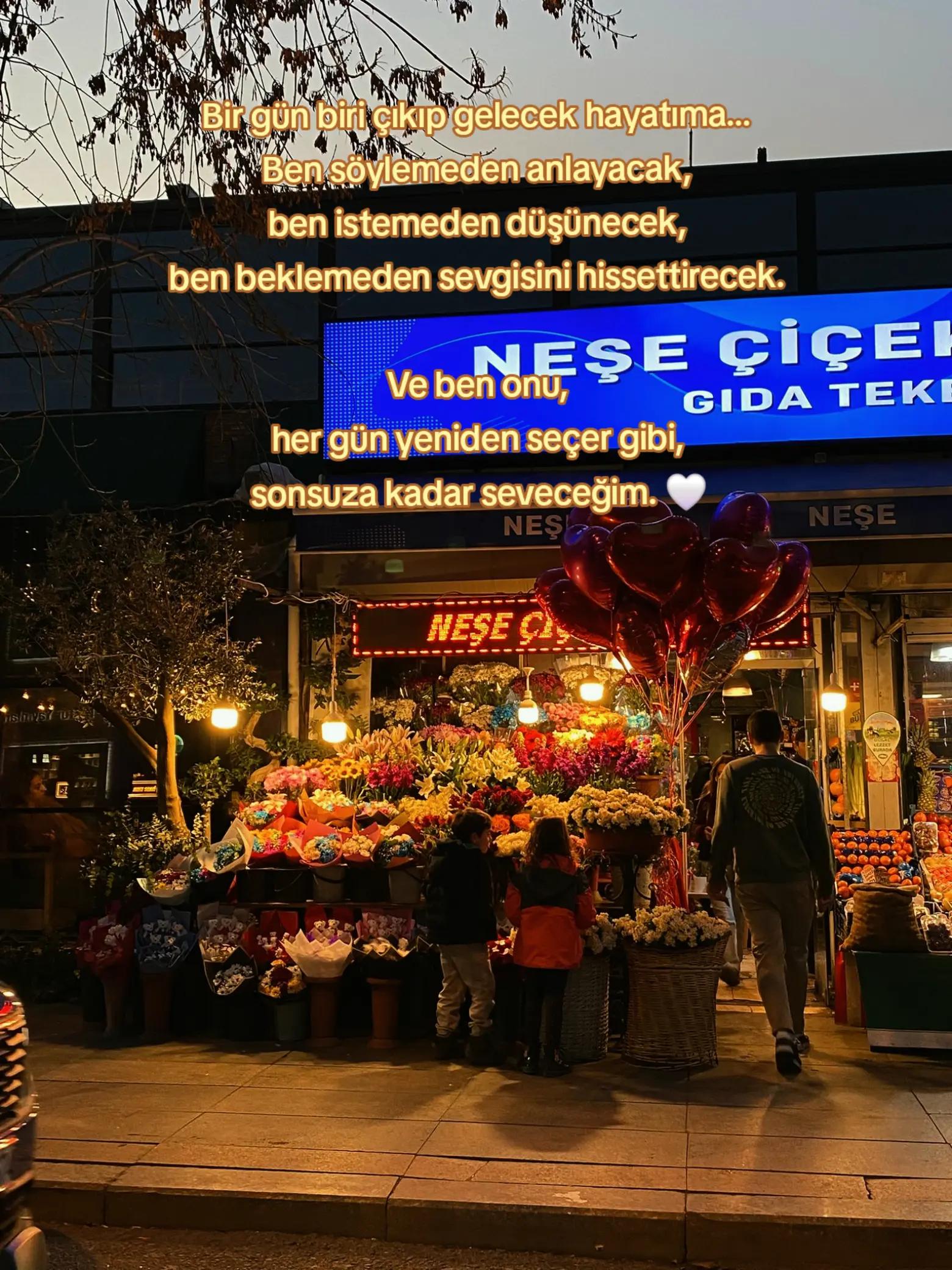 @K&uuml;bra Yurtseven