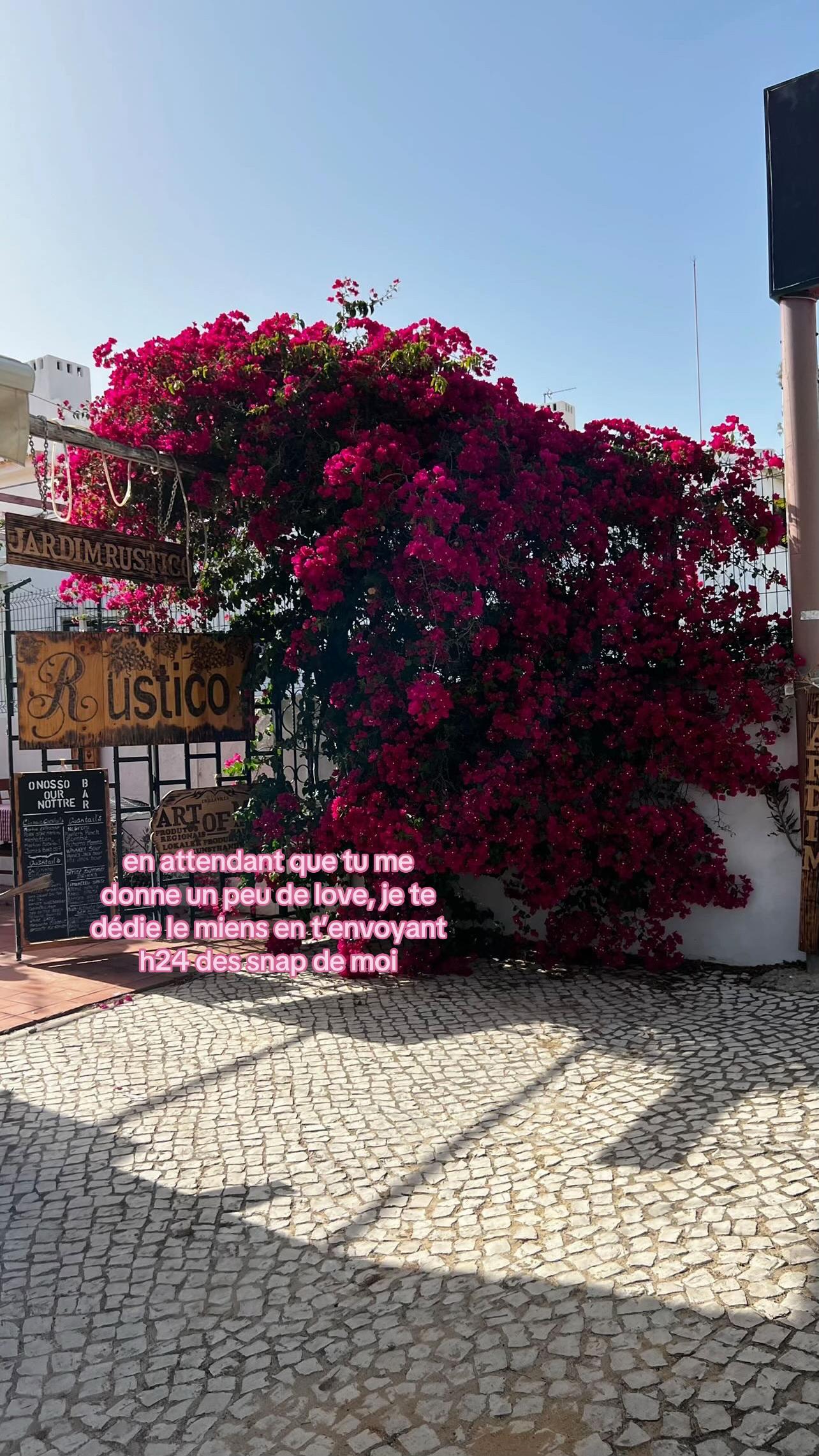 @mel ᥫᩣ