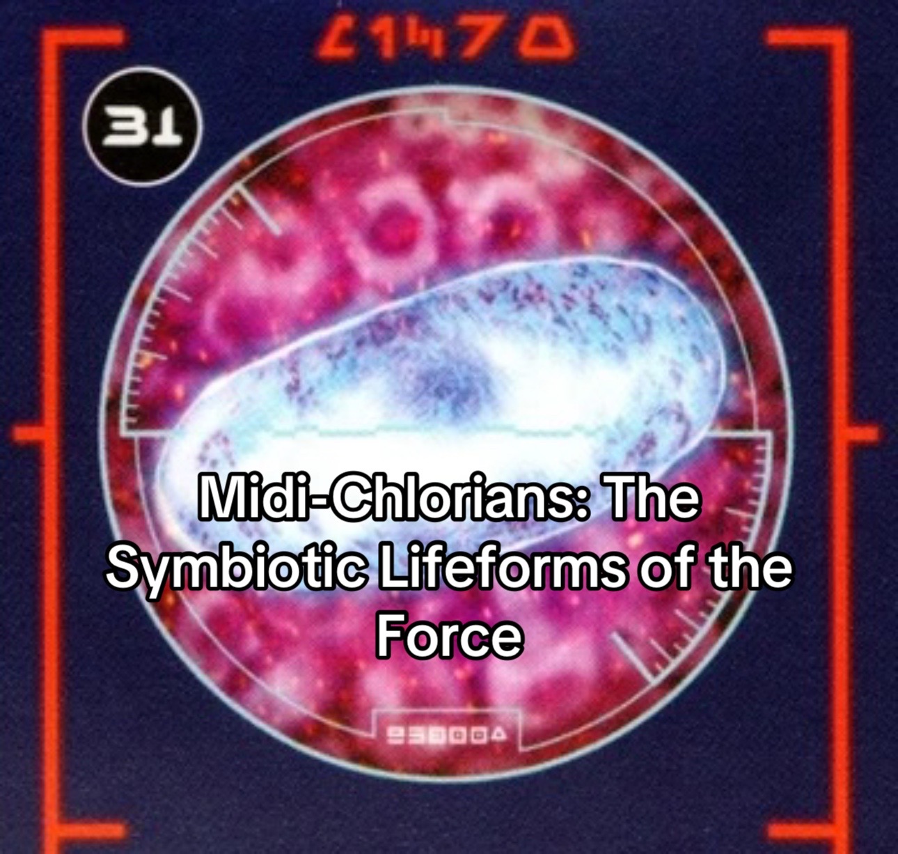 @Holocron Deep Dive