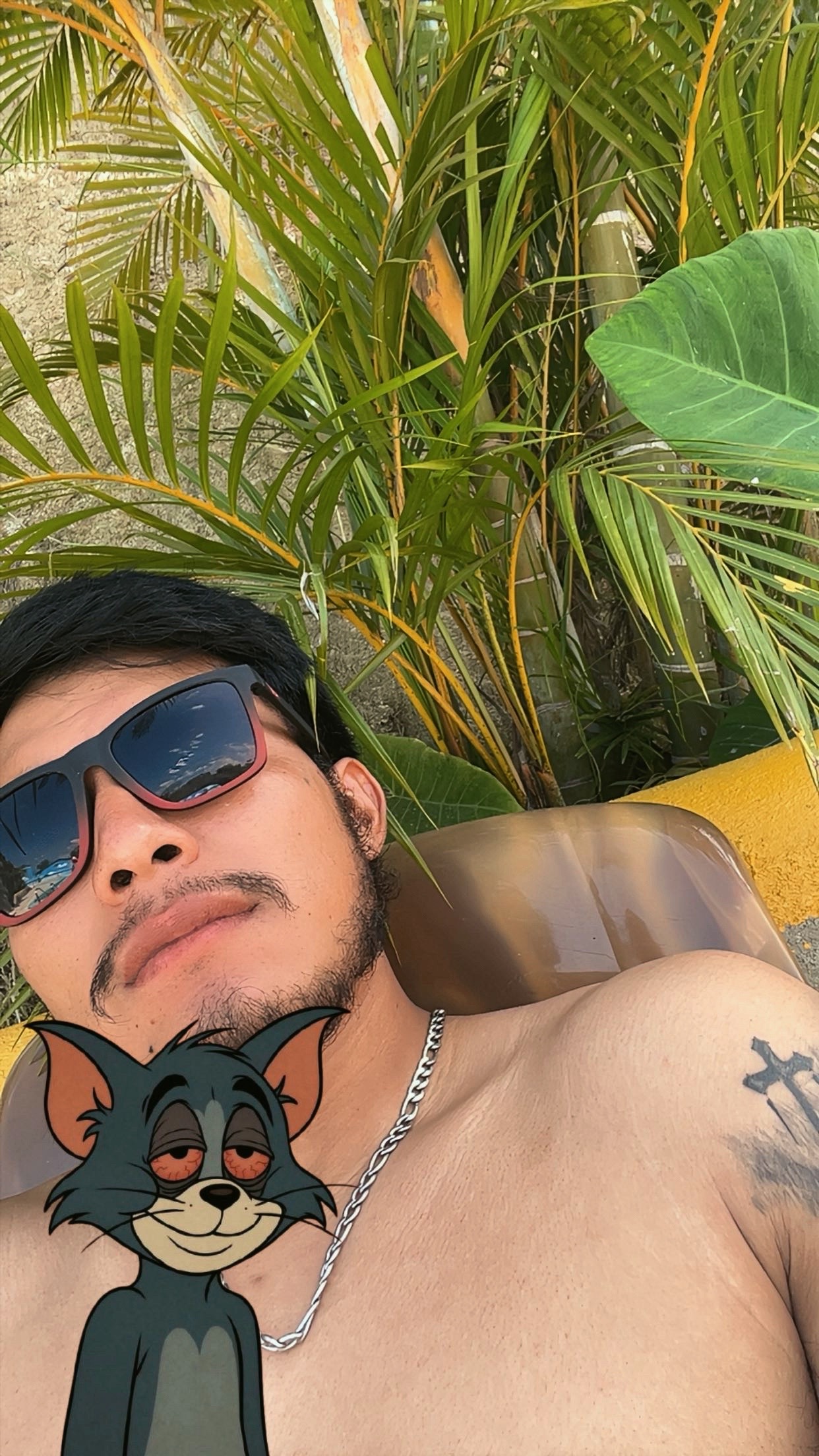 @Anibal 🇬🇹💪💵🛢️