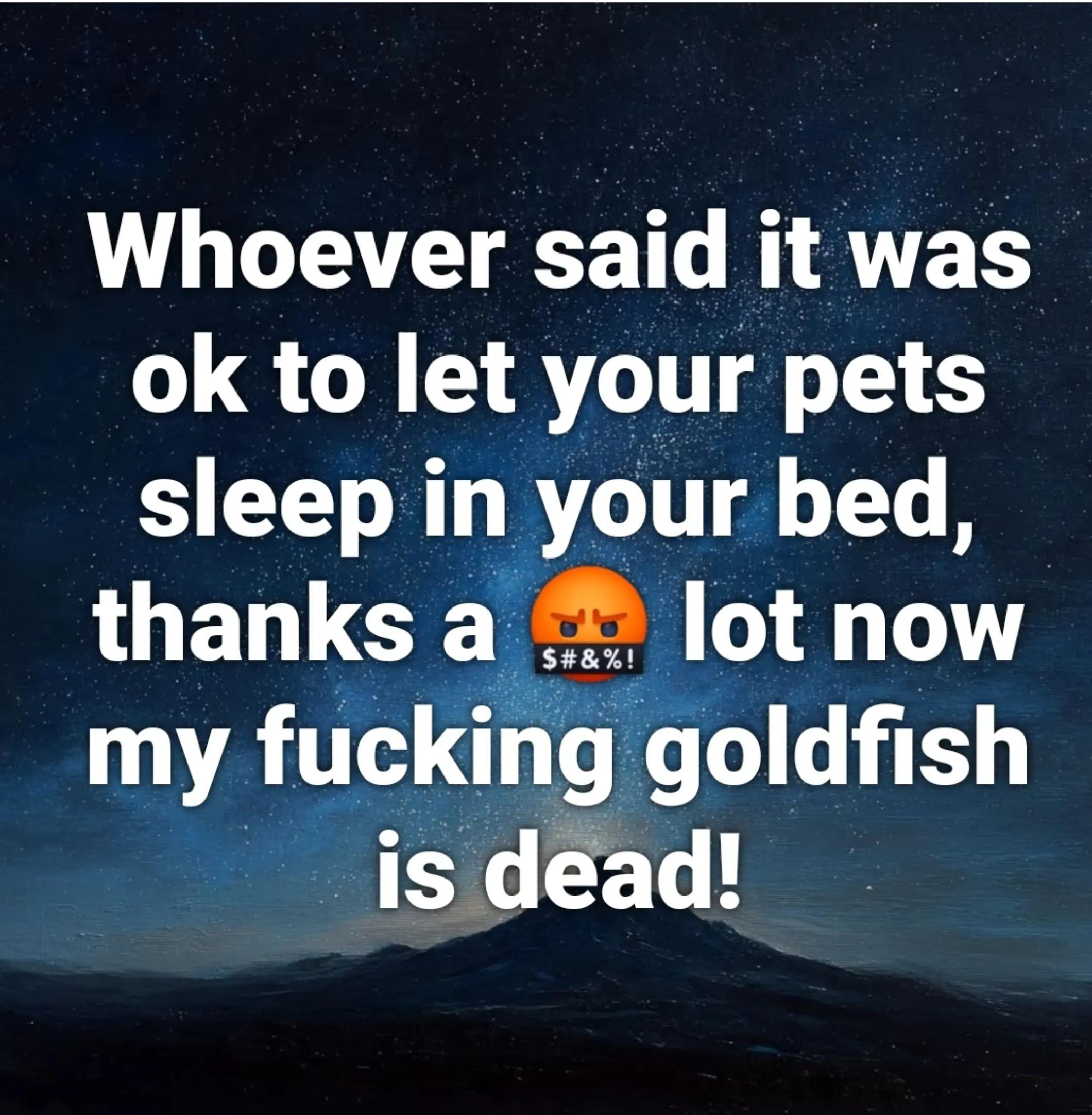 @MR G