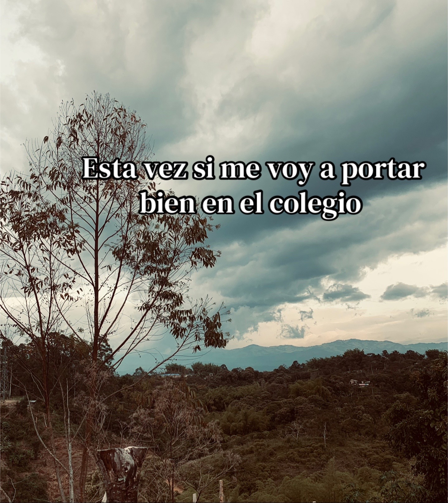 @Valeria Gaviria 👸🏻