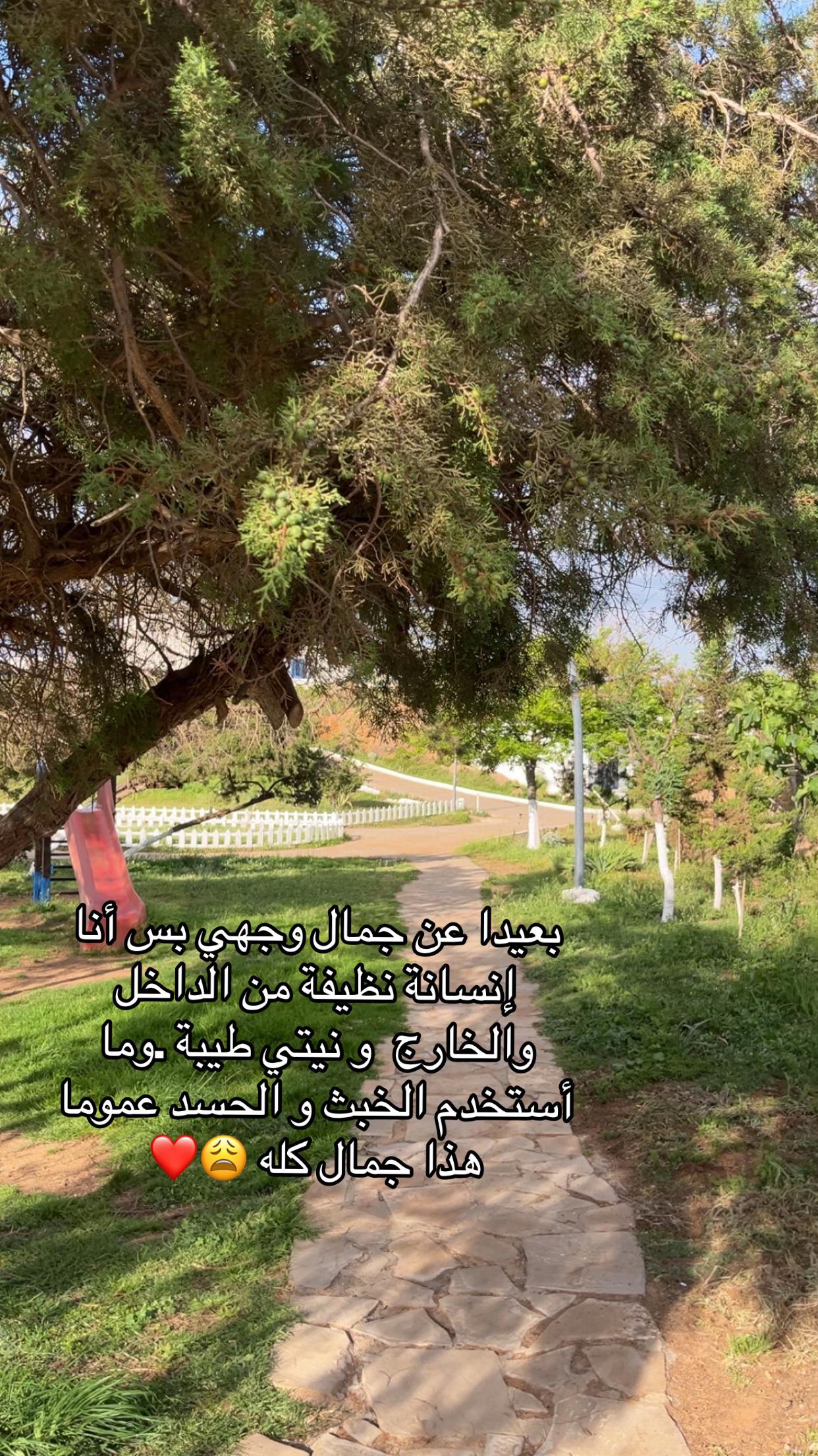 @maneeel.dj