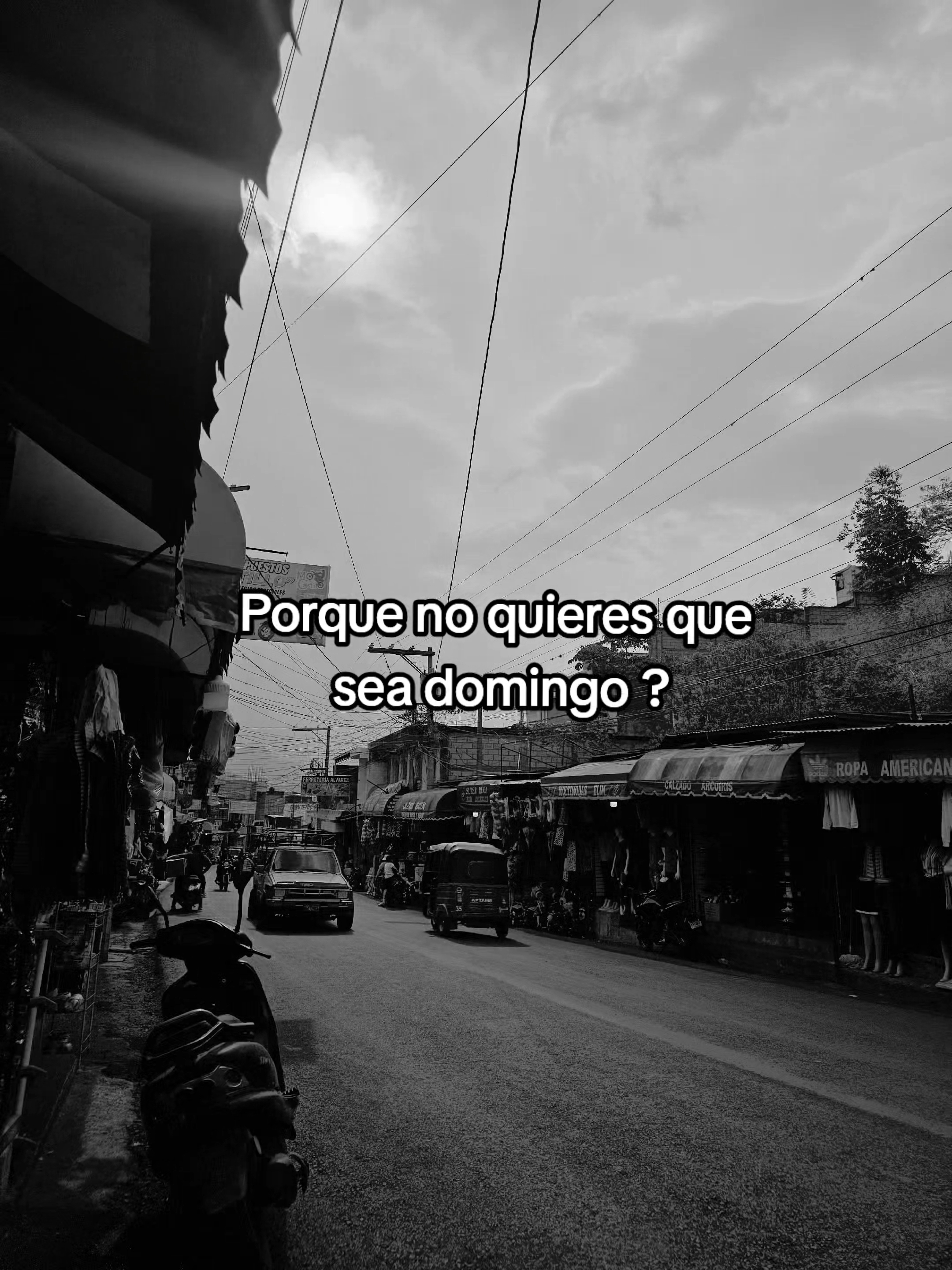 @🌻gomez🌻