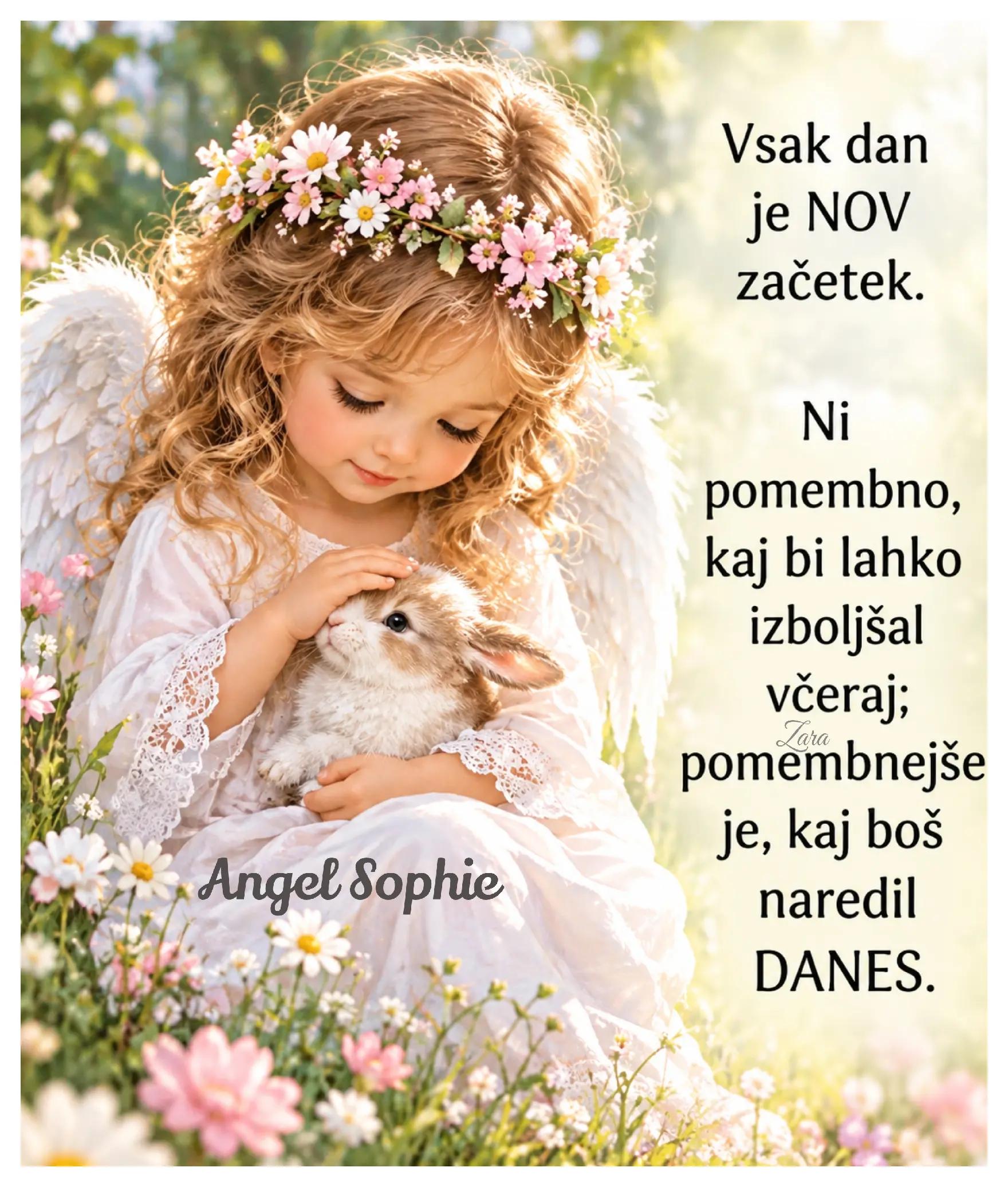 @Zara - Angel Sophie