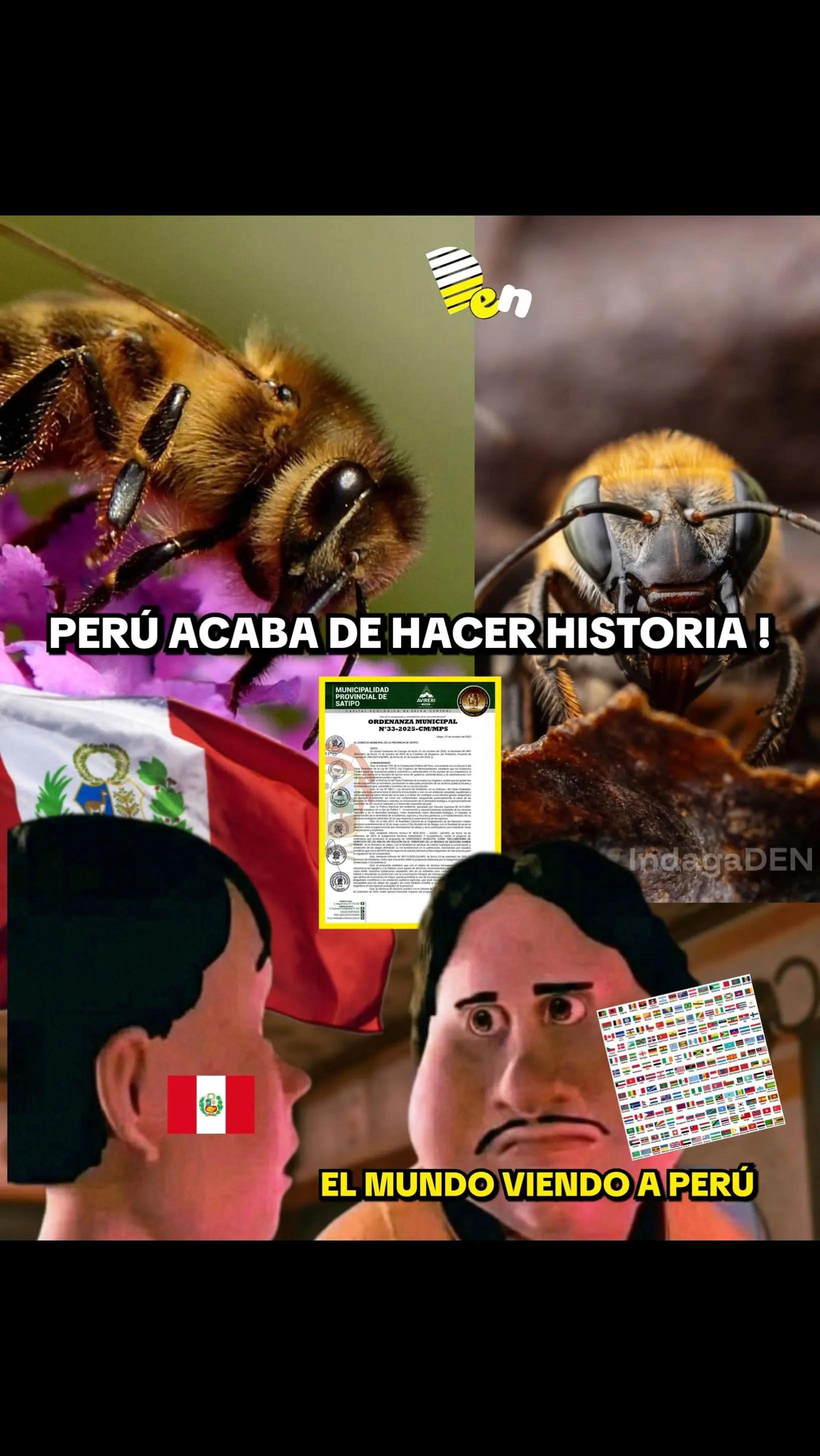 @Juan angel