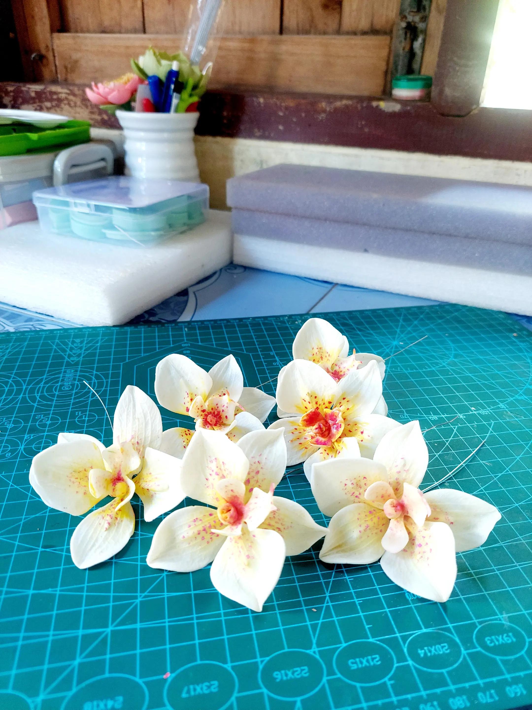 @Arthitayar-นุ่น🥰🥰