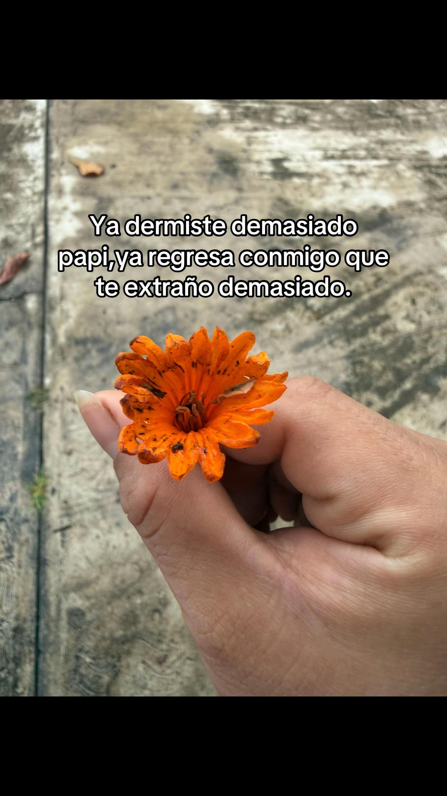 @Lucas.Ele🌻💫