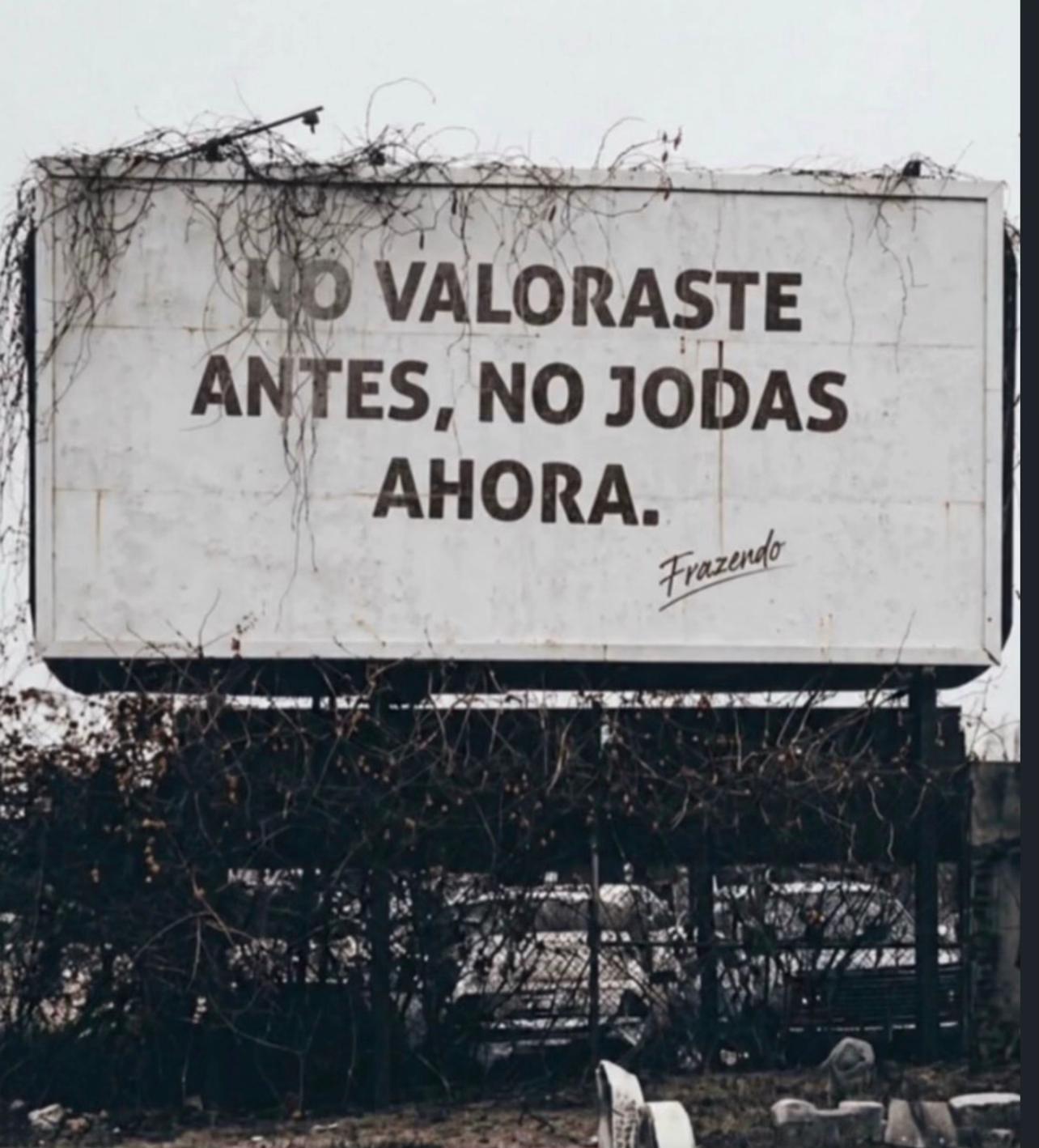 @Ludmi