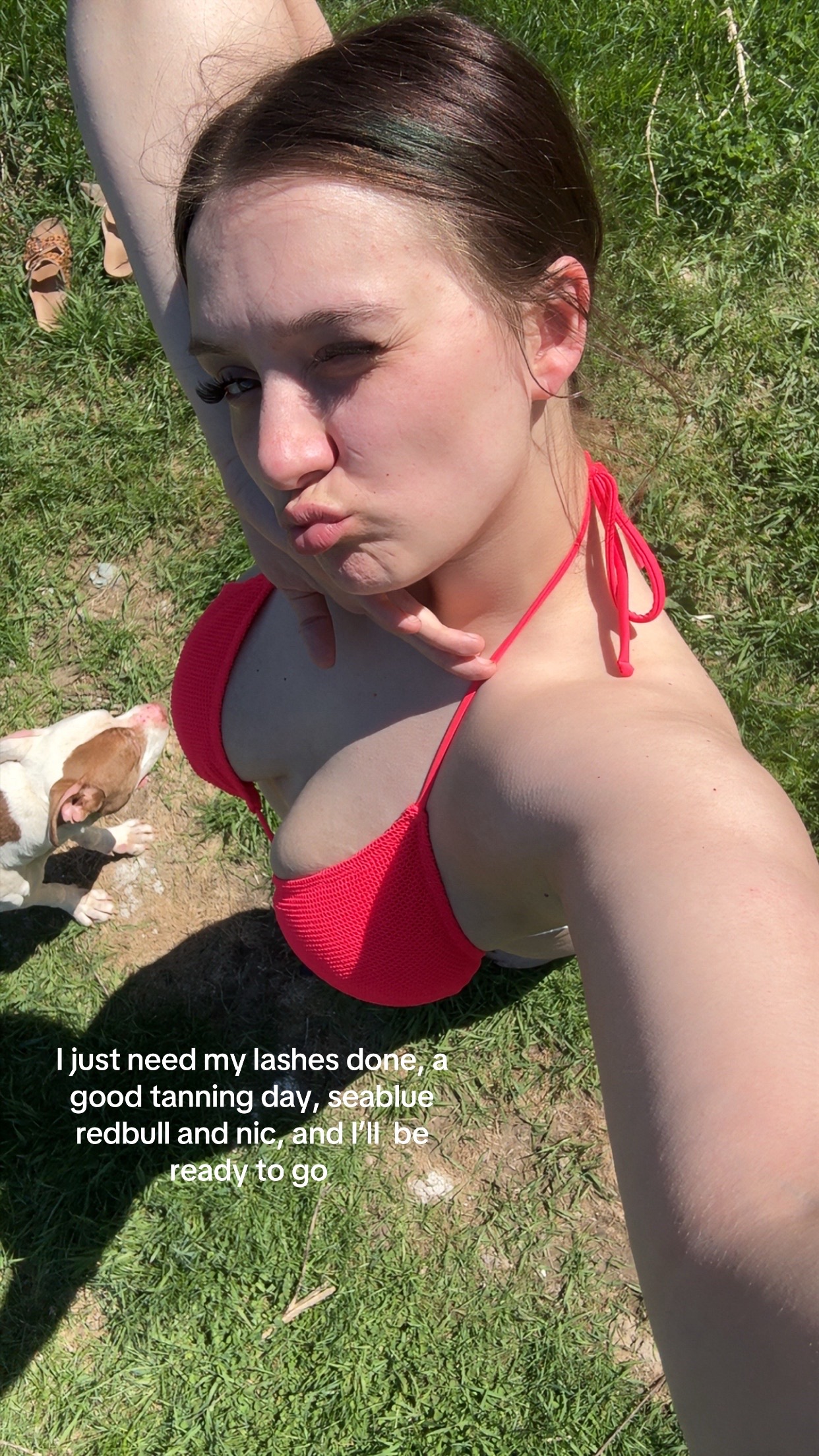 @not.a.fan85