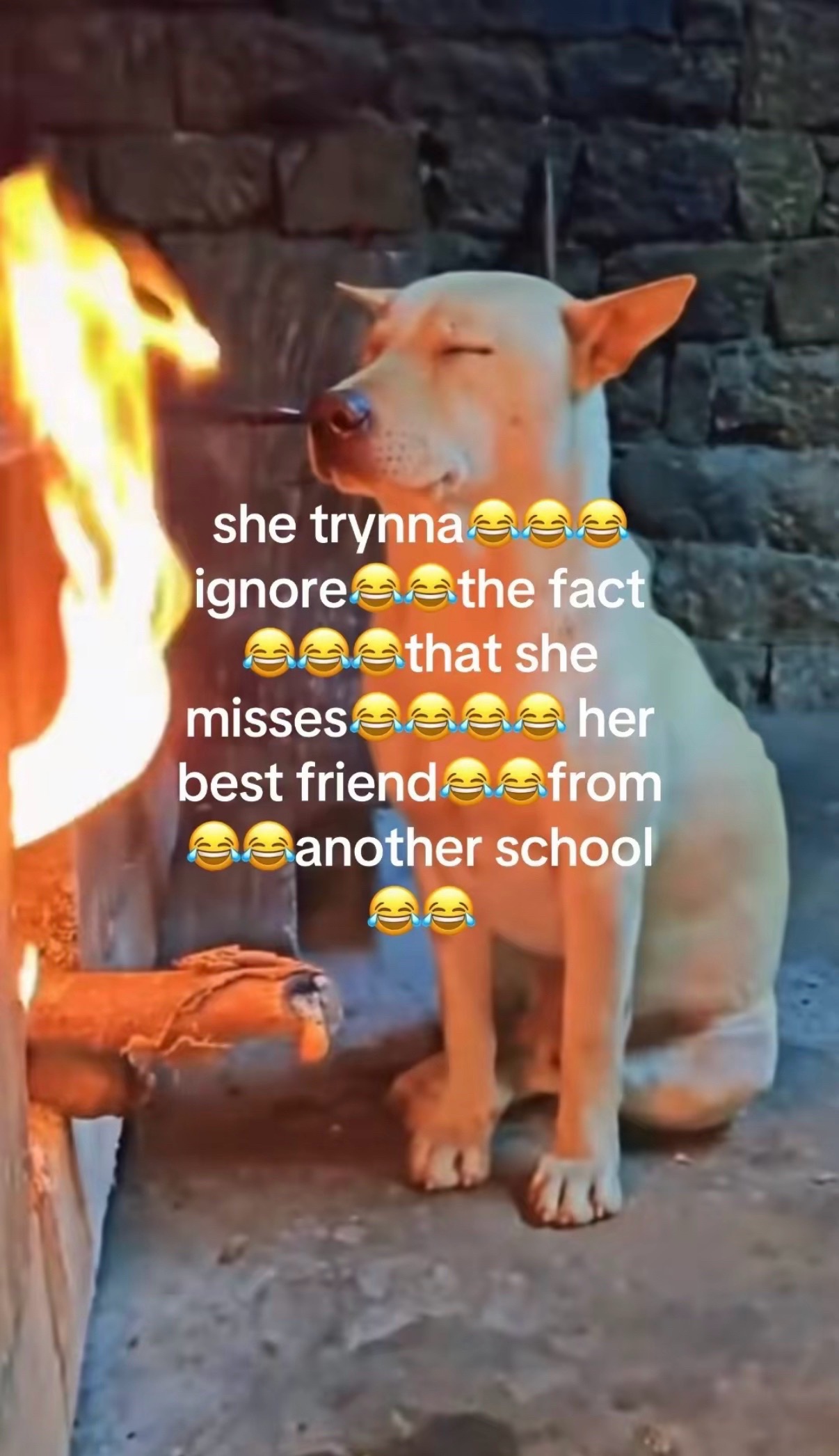 @🧟♀️