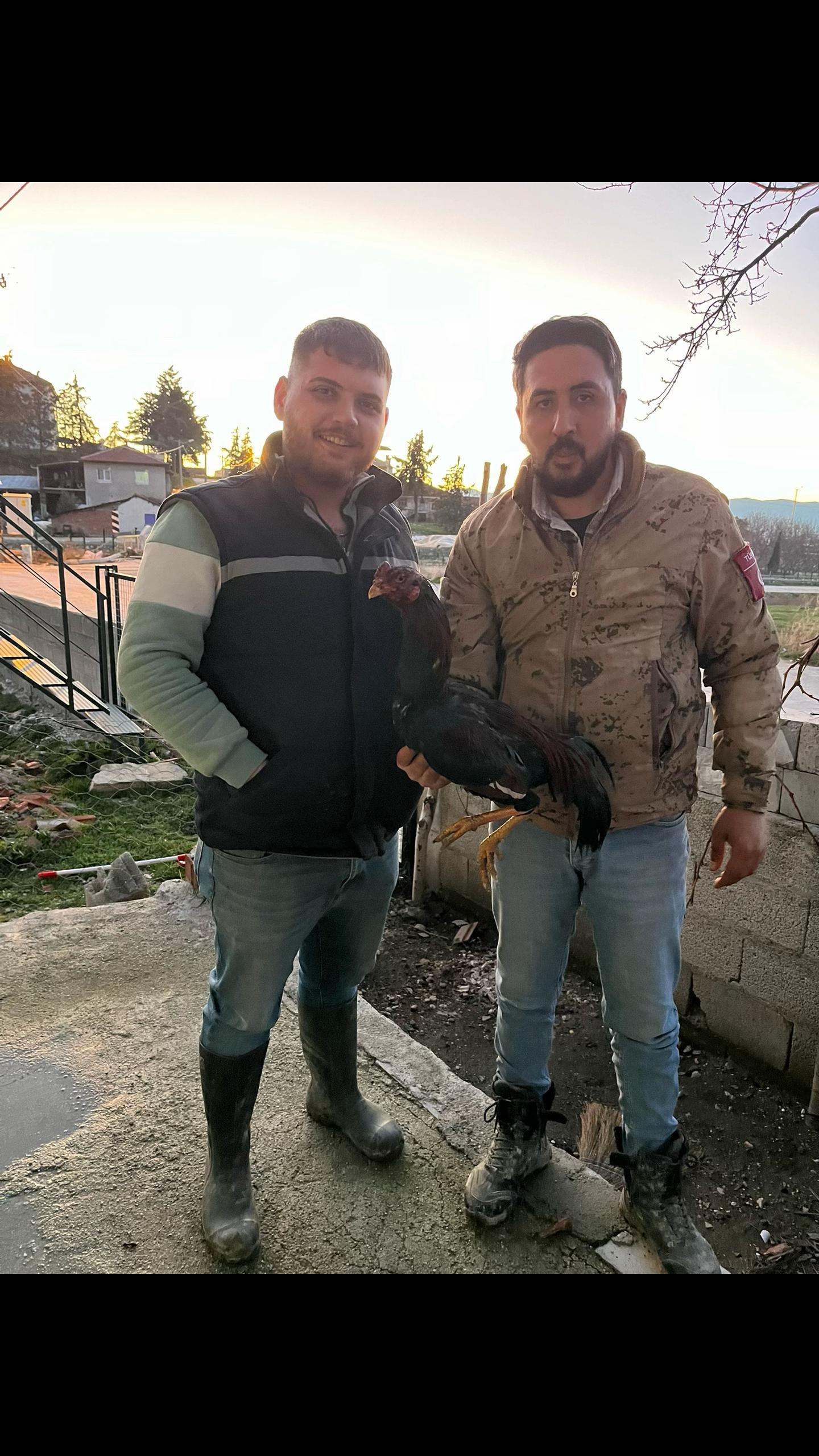 @Osman Özkan 🐅