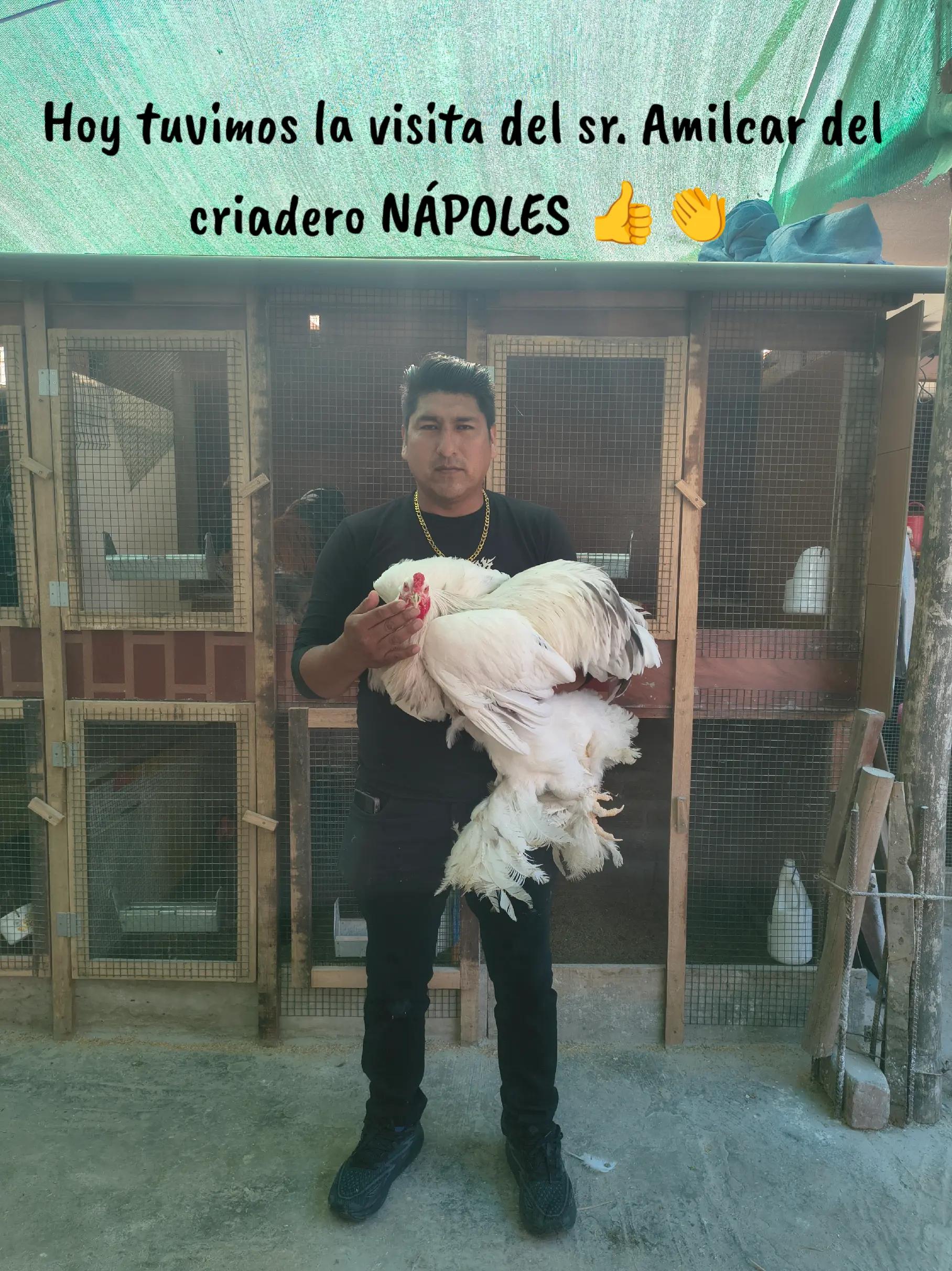 @CRIADERO "DELFIN"