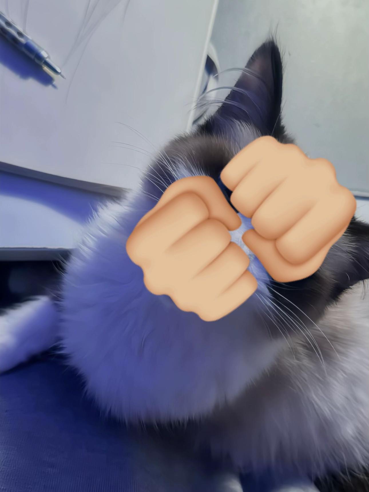 @mikael🪽