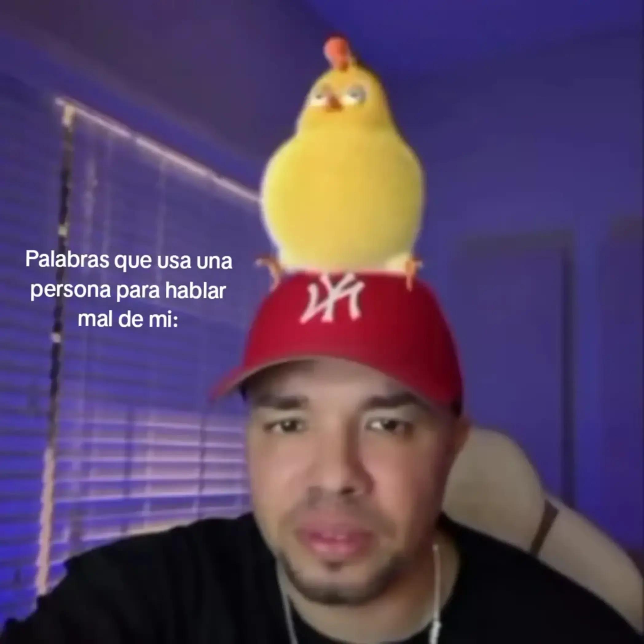 @AILLYN MUSIC🐥