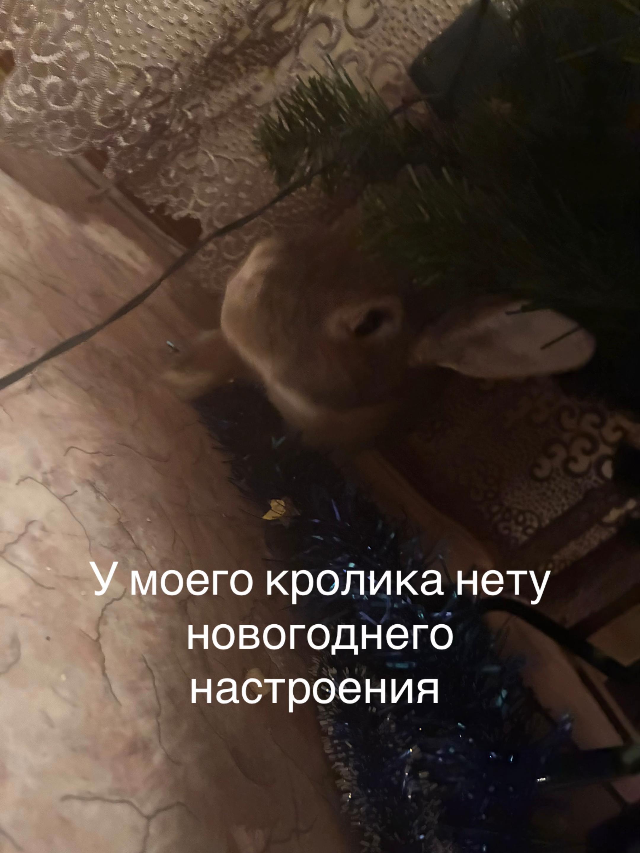 @kos1124