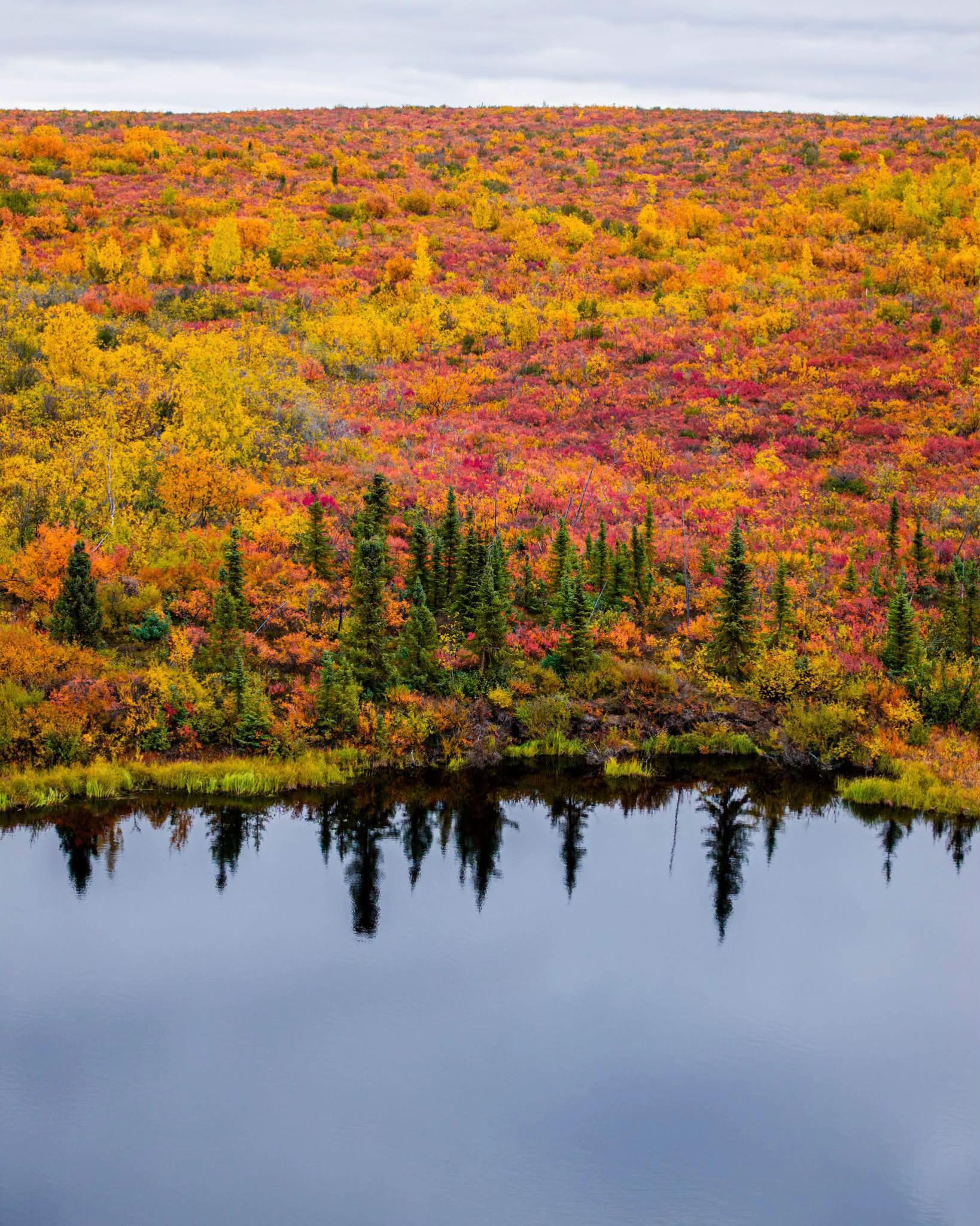 @savenaturesaveearth0