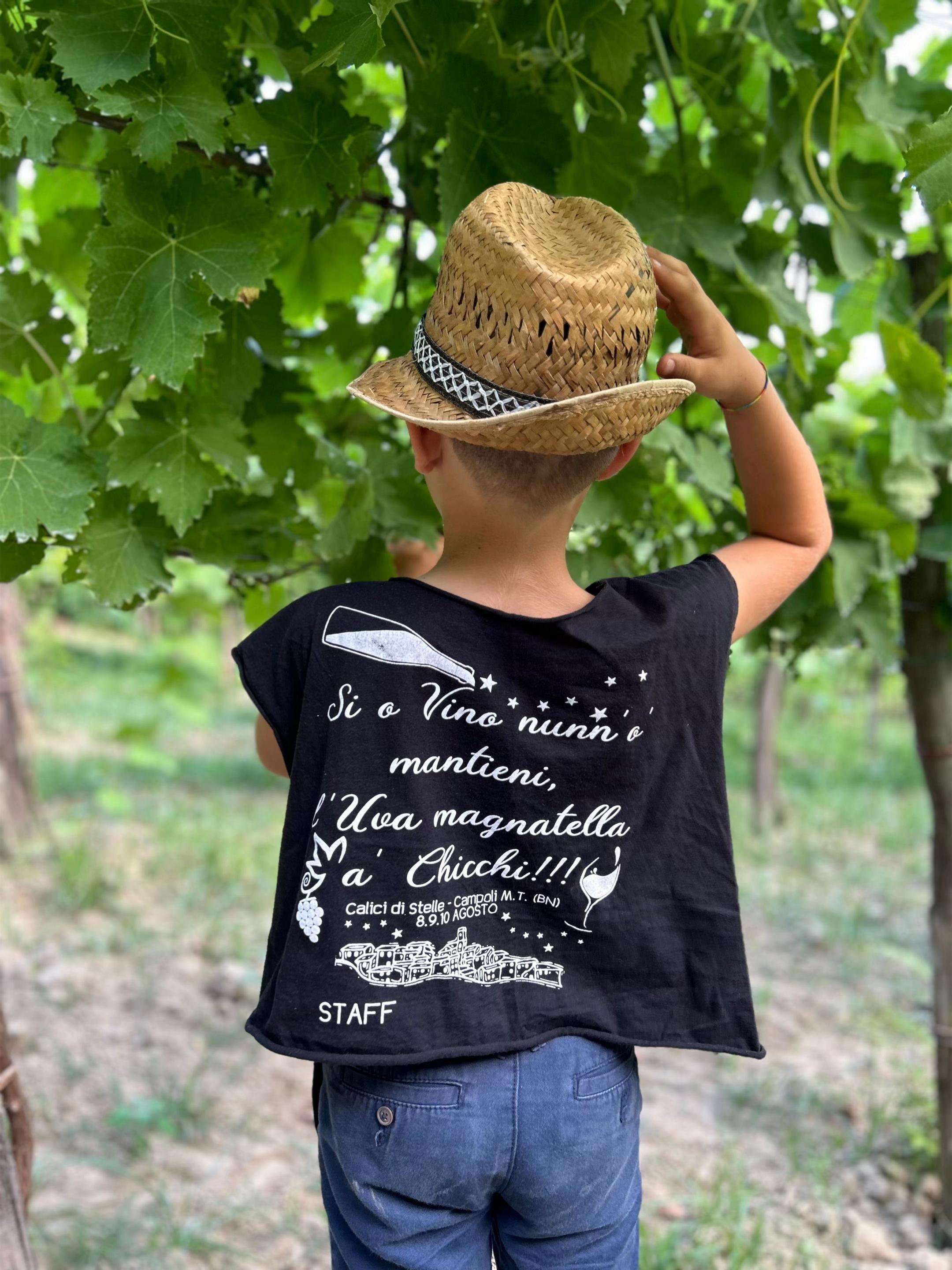 @Calici Di Stelle✨🍇🍷