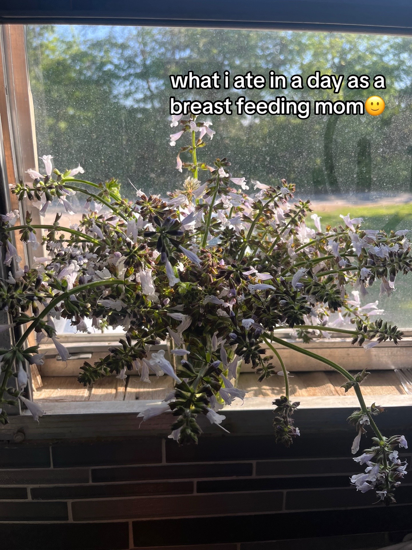@Al!ssa