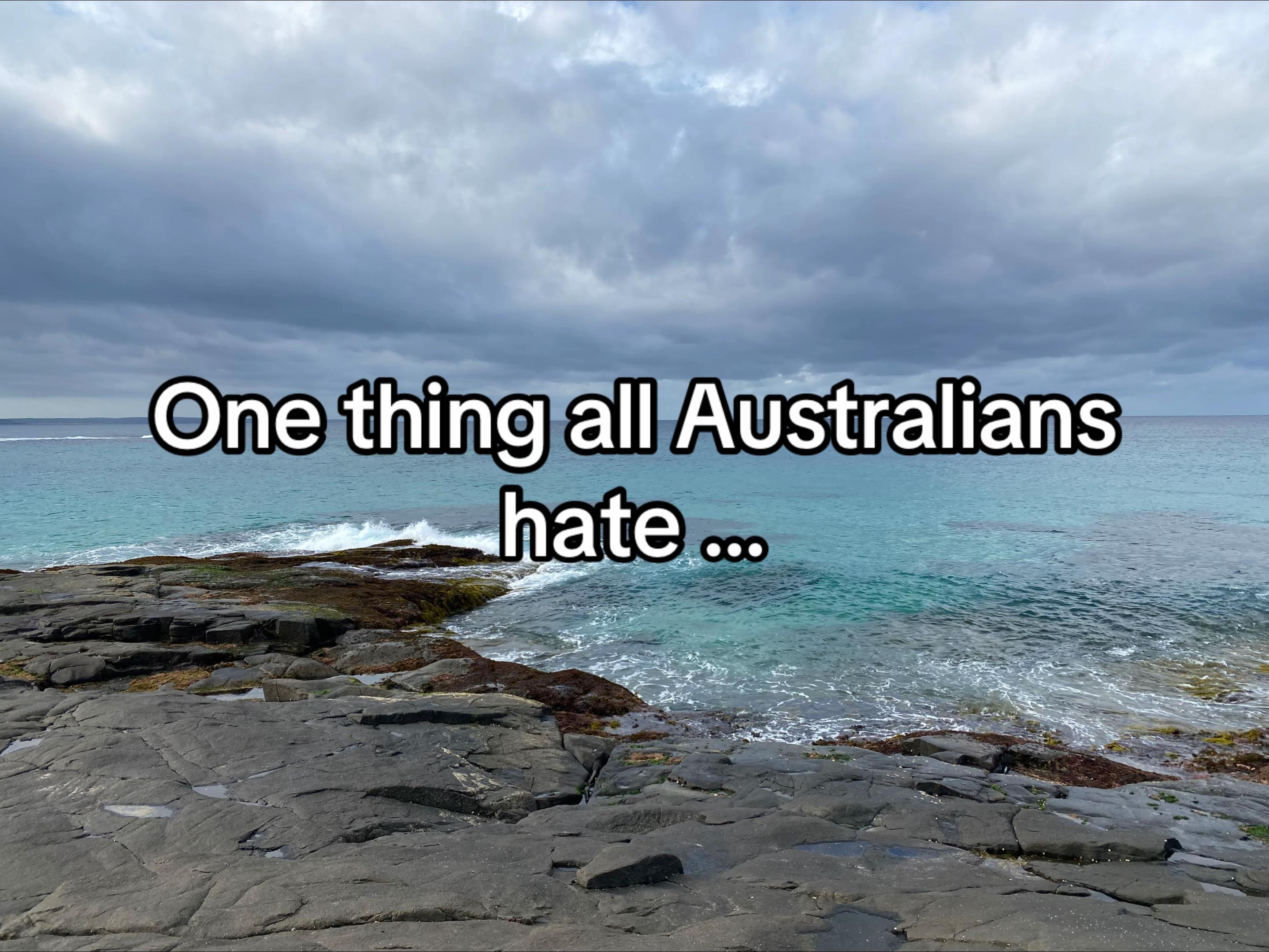 @AUSSIE AUSSIE🦘🇦🇺🌏