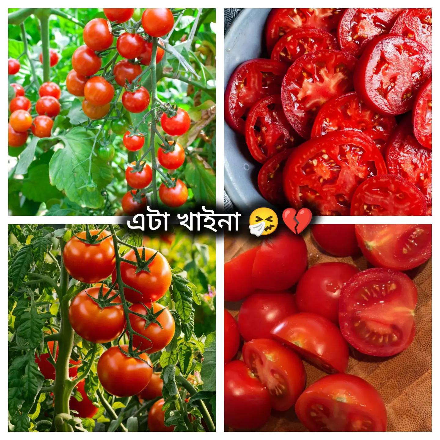 @_๐๐ถ๐๐ข๐ช๐บ๐ _เฆเฆชเง ๐๏ธ๐ค