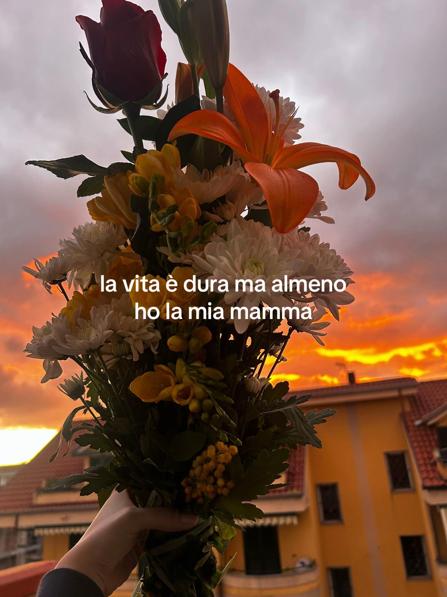 @nat &bull; horizonncos