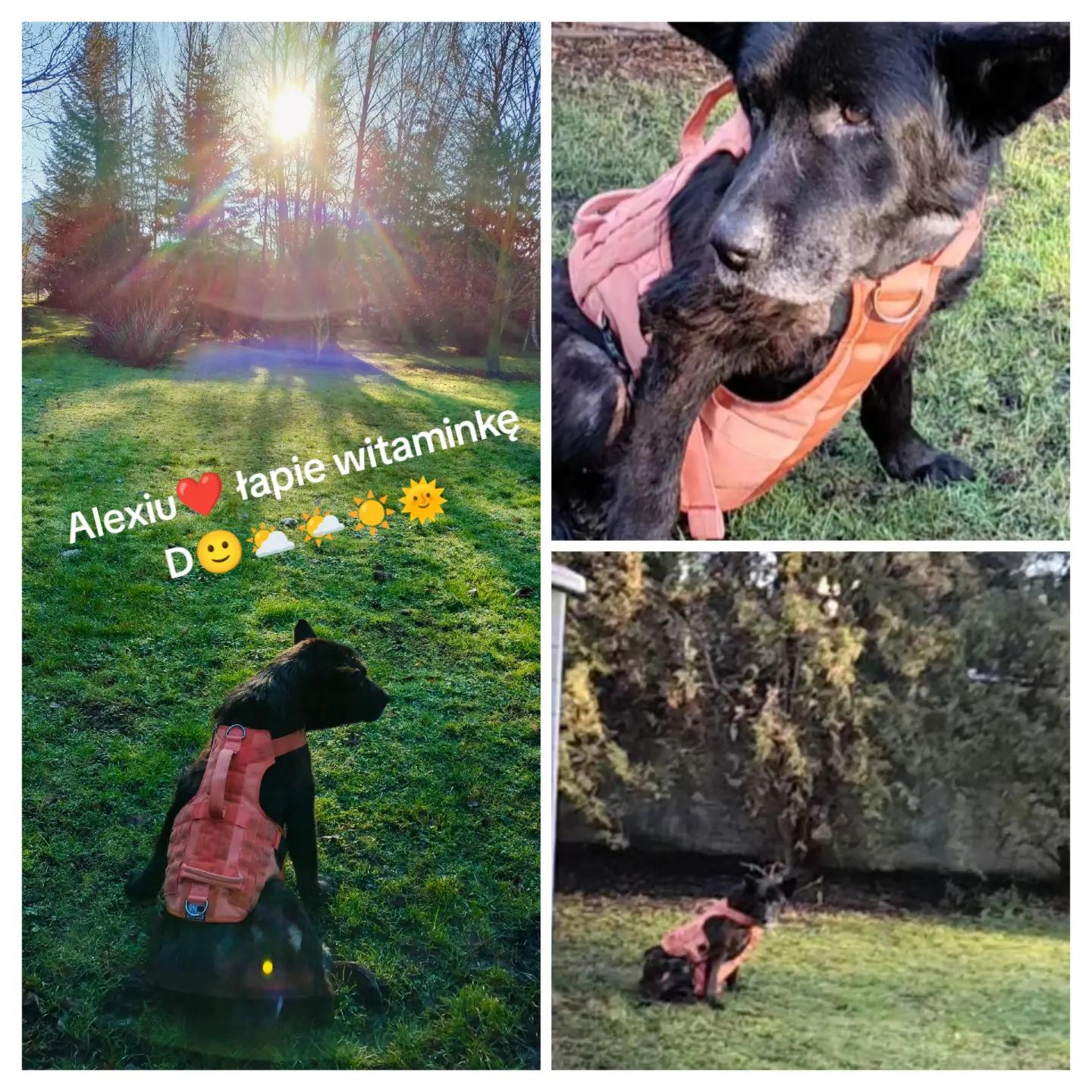 @OstojaUBabyJagi_AgaNowak