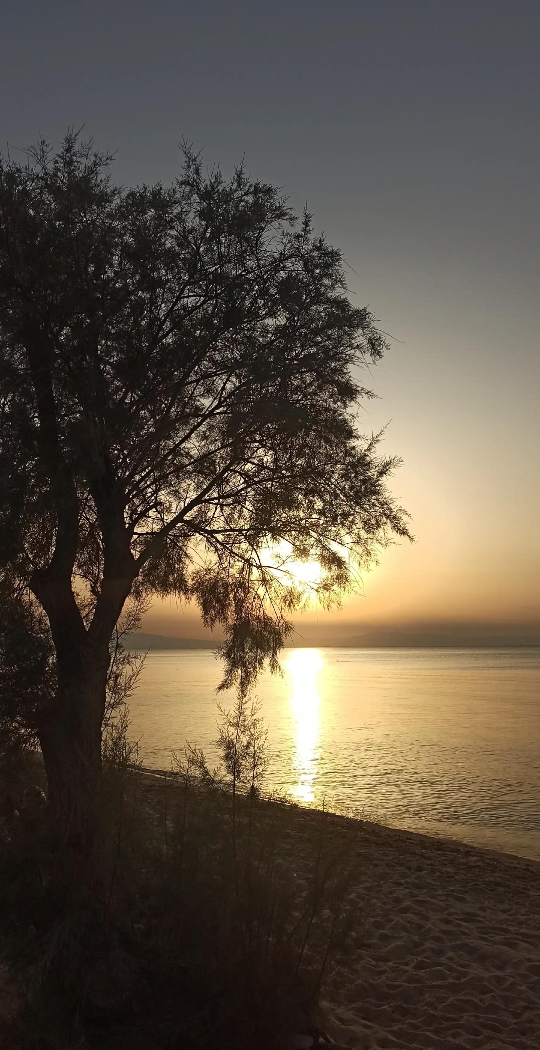 @&Epsilon;&Lambda;&Epsilon;&Nu;&Alpha; &Nu;&Epsilon;&Phi;&Epsilon;&Lambda;&Eta;