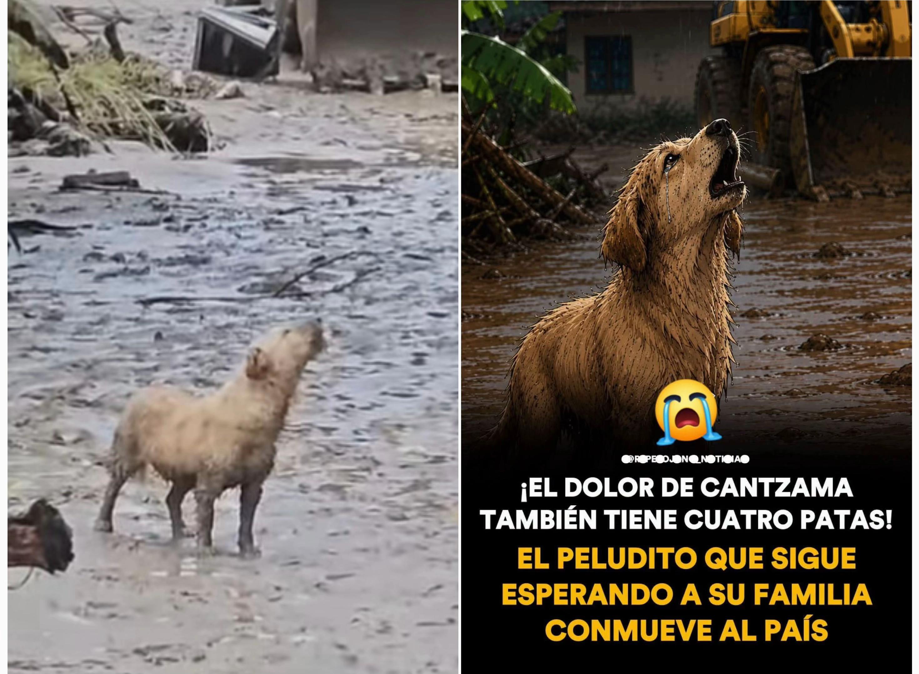 @PaulMaxOficial