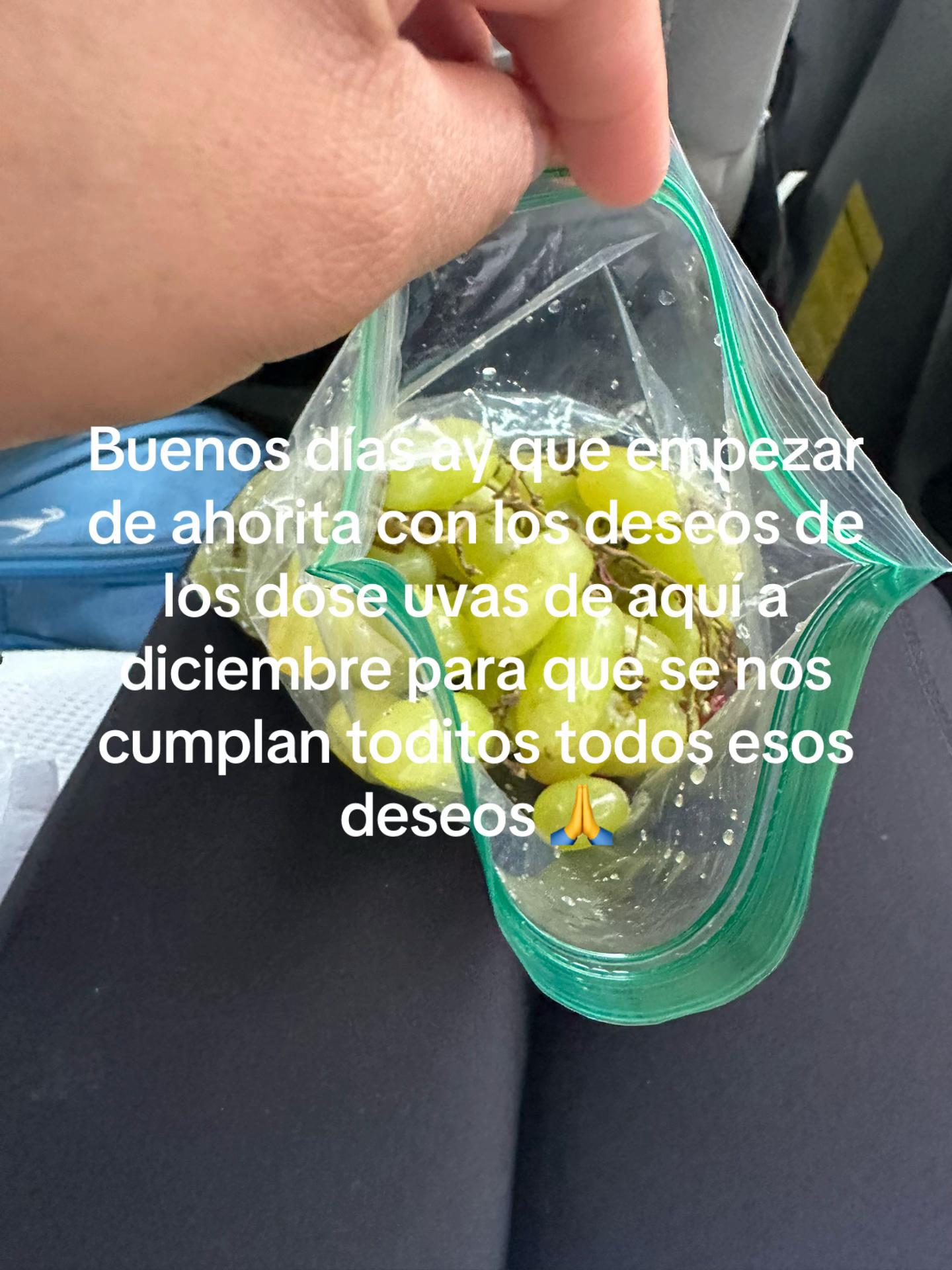 @sofia felix