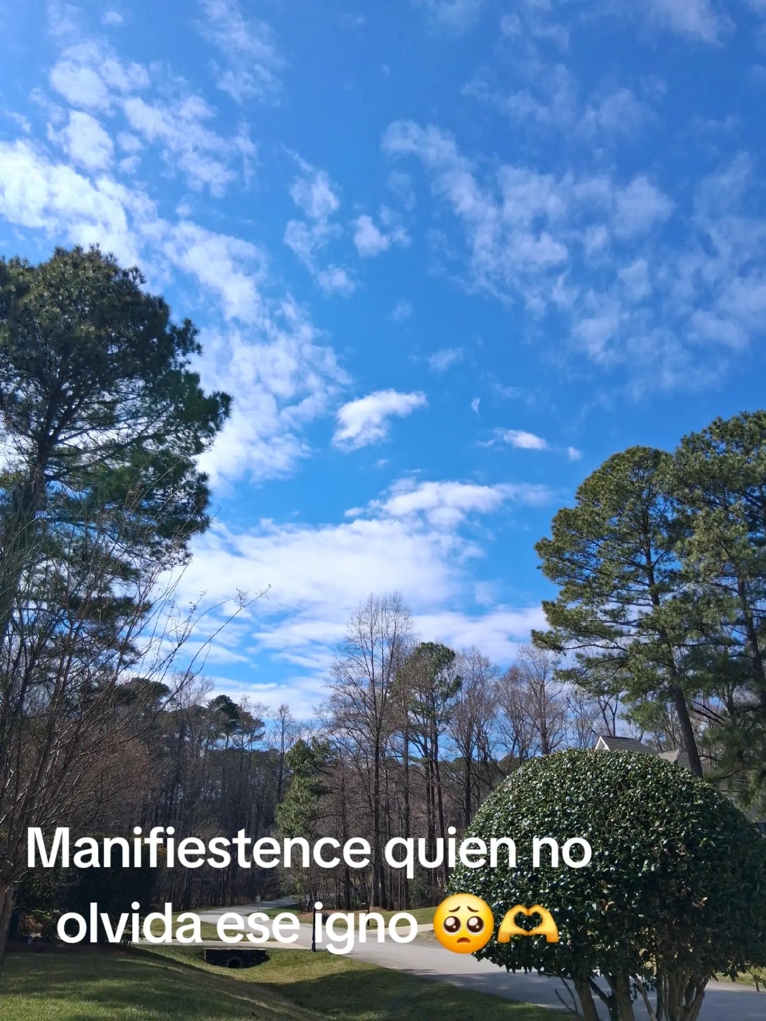 @Nain González Peñaloza