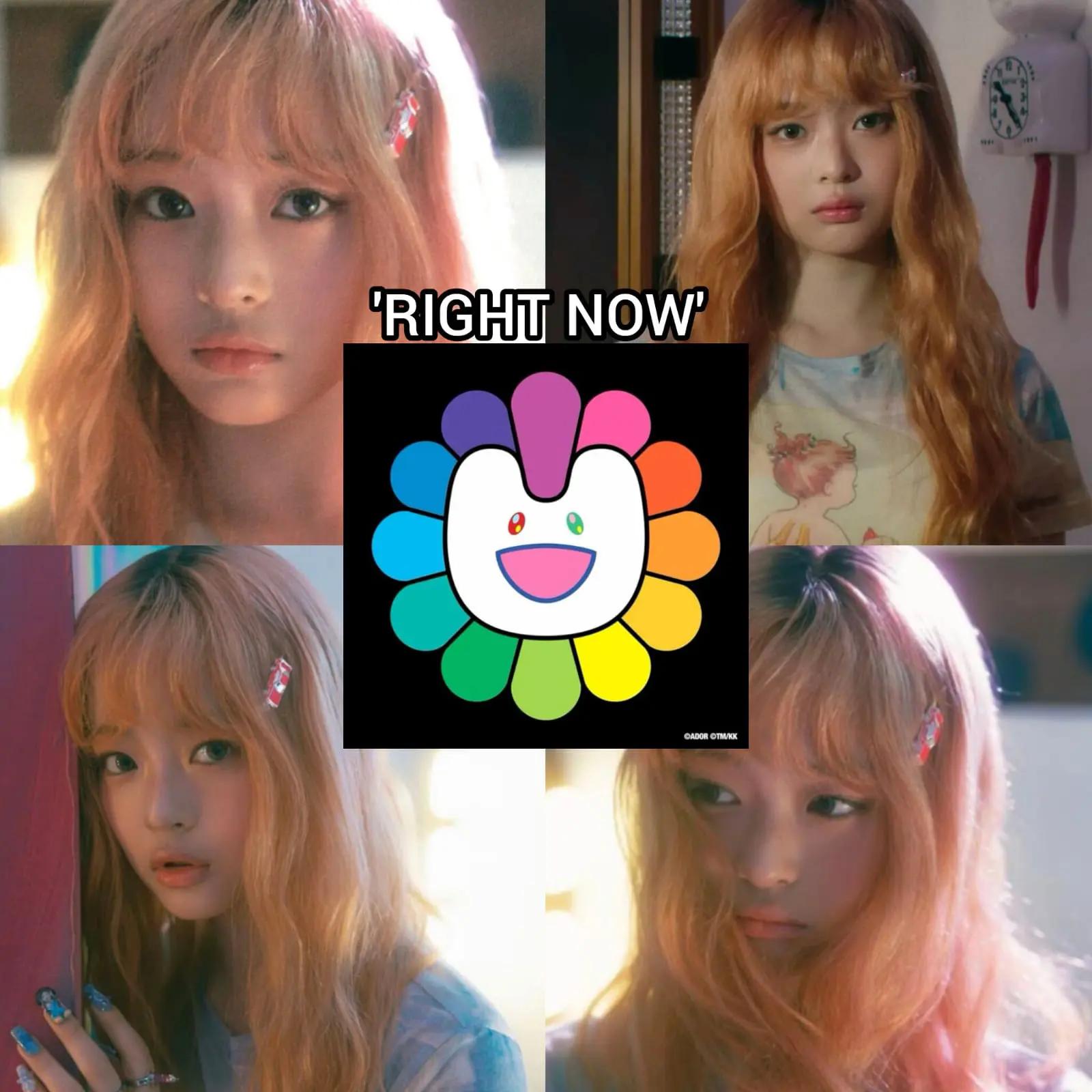 @dinqqqkr