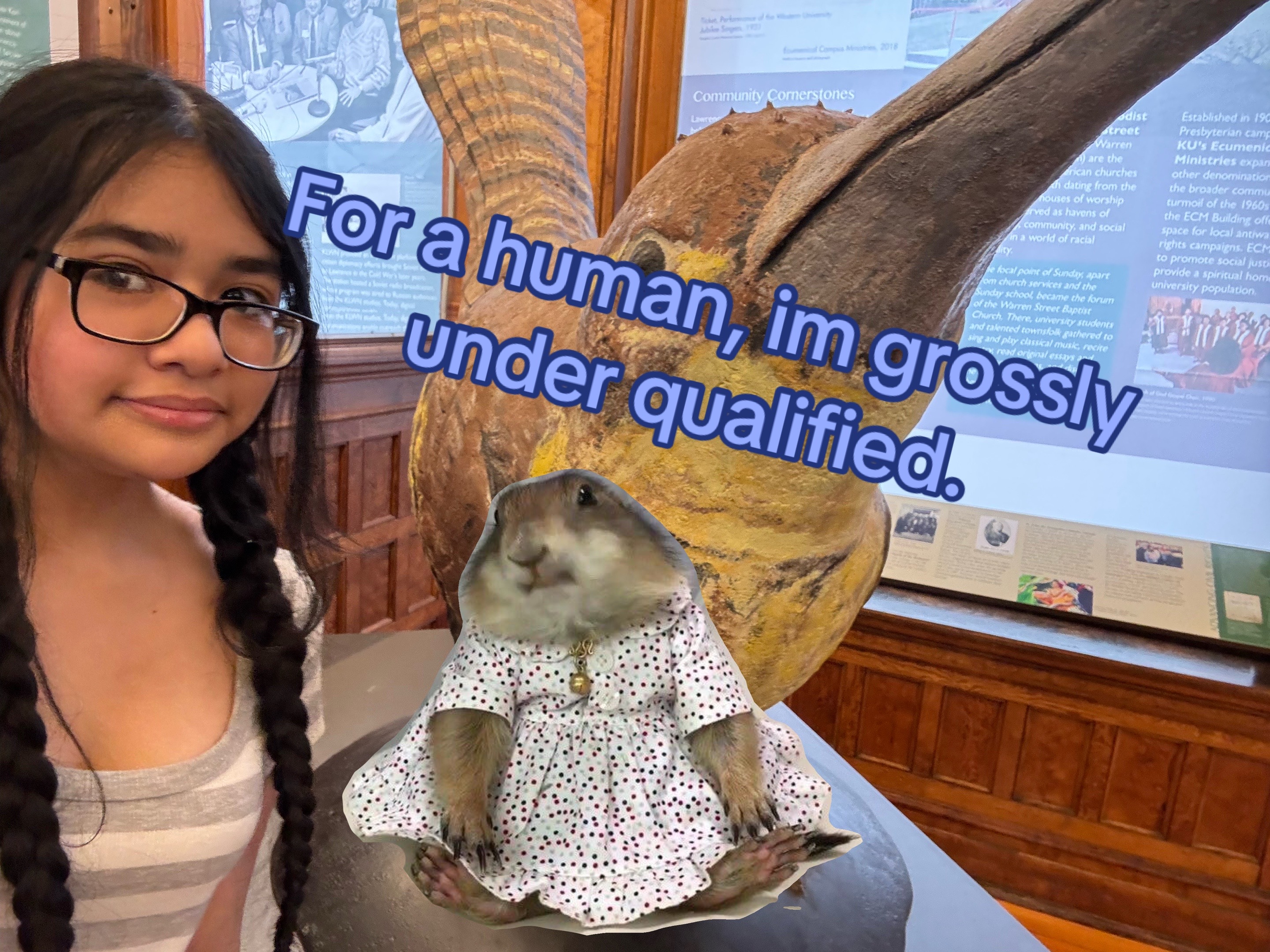 @˃̣̣̣̣̣̣︿˂̣̣̣̣̣̣