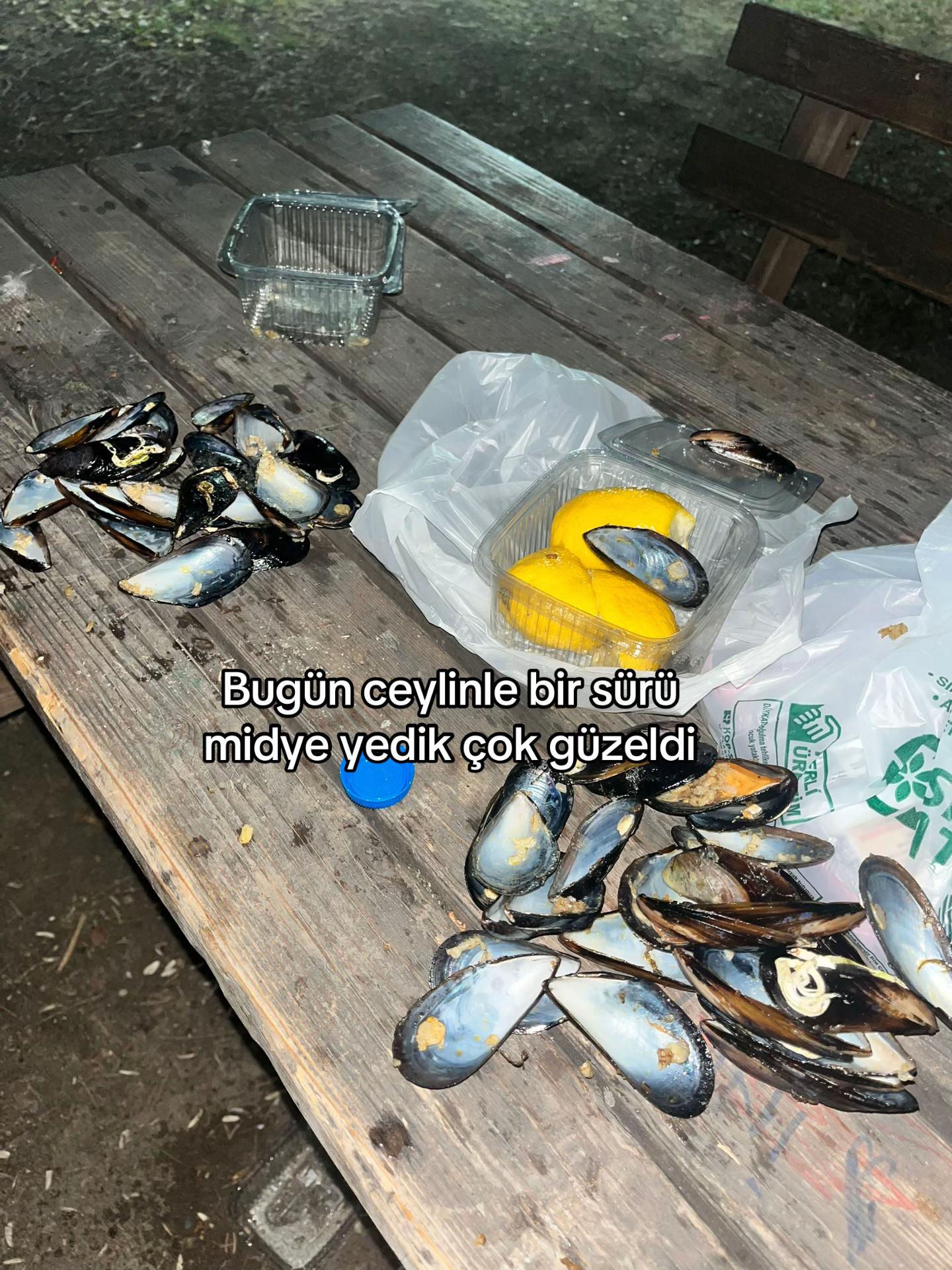 @meerve