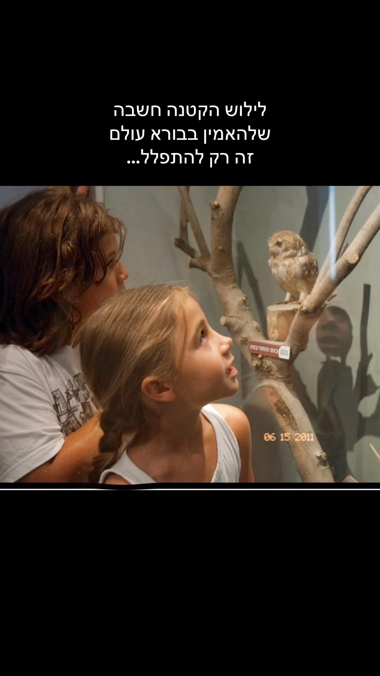 @LILUSH🫀💘🪽ליהי גרוסמן