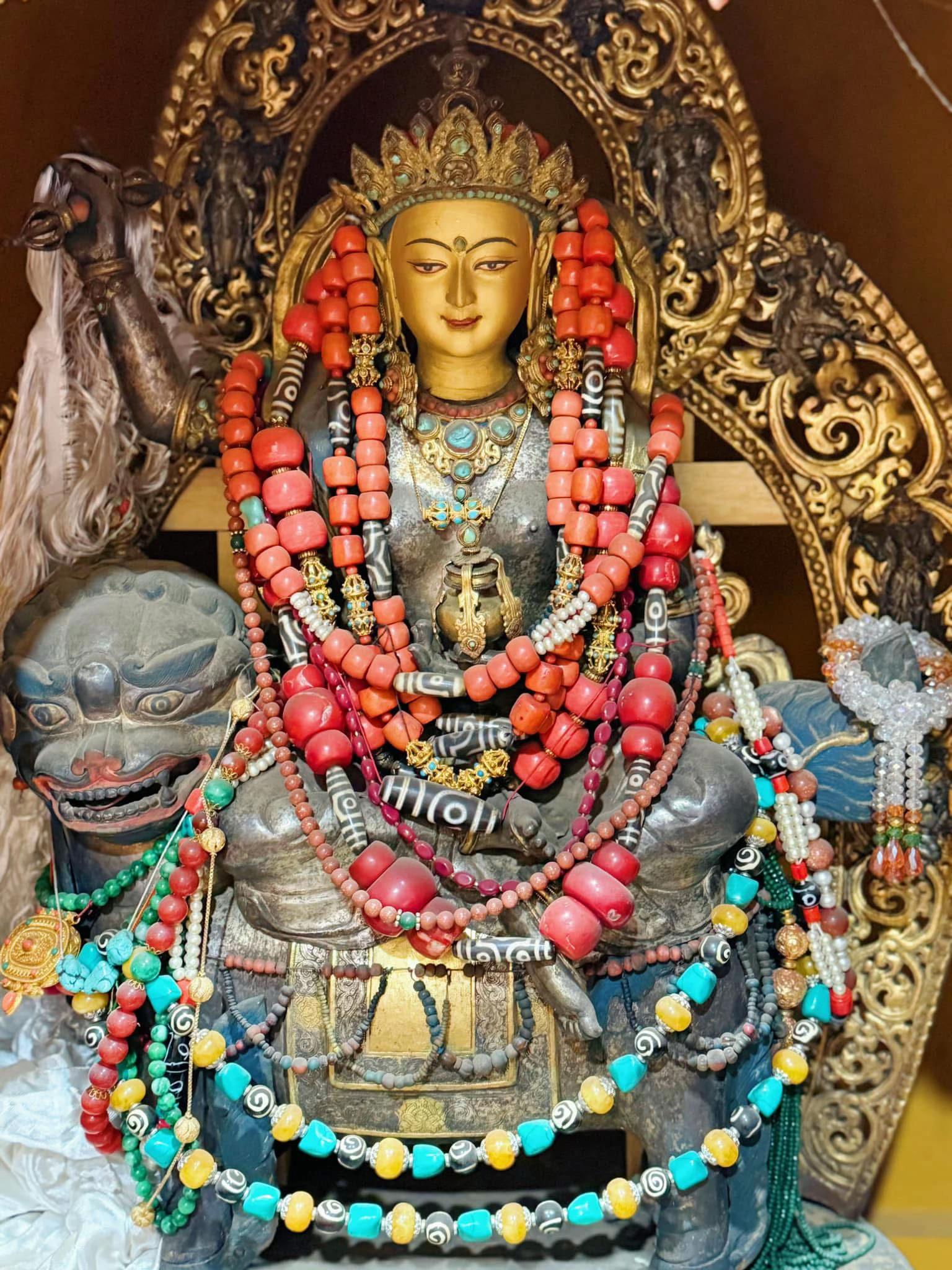 @Makezom Shastala 🧿