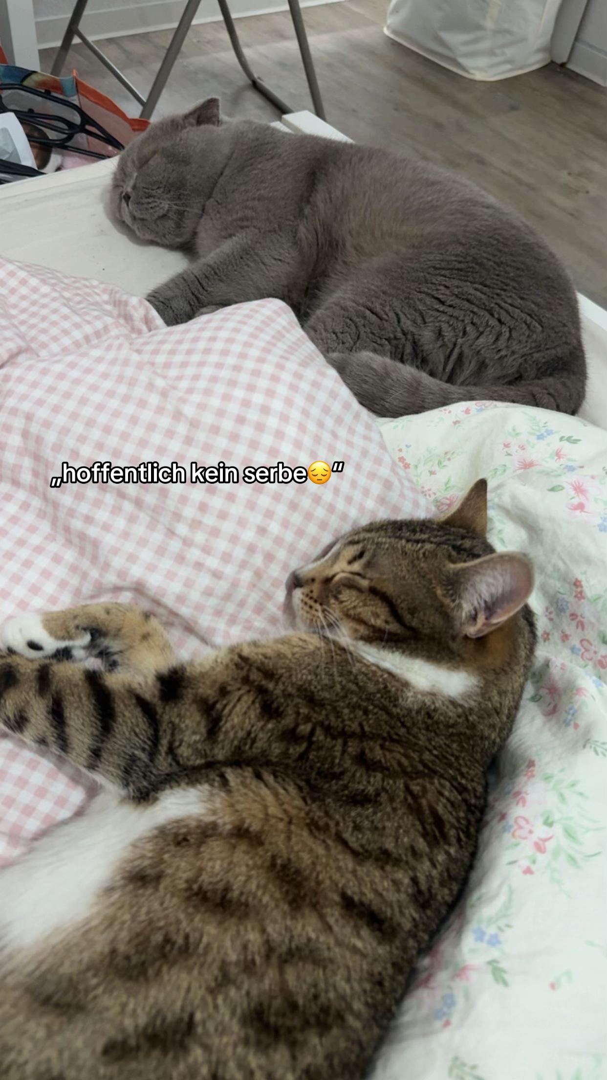 @michelle.sgb2