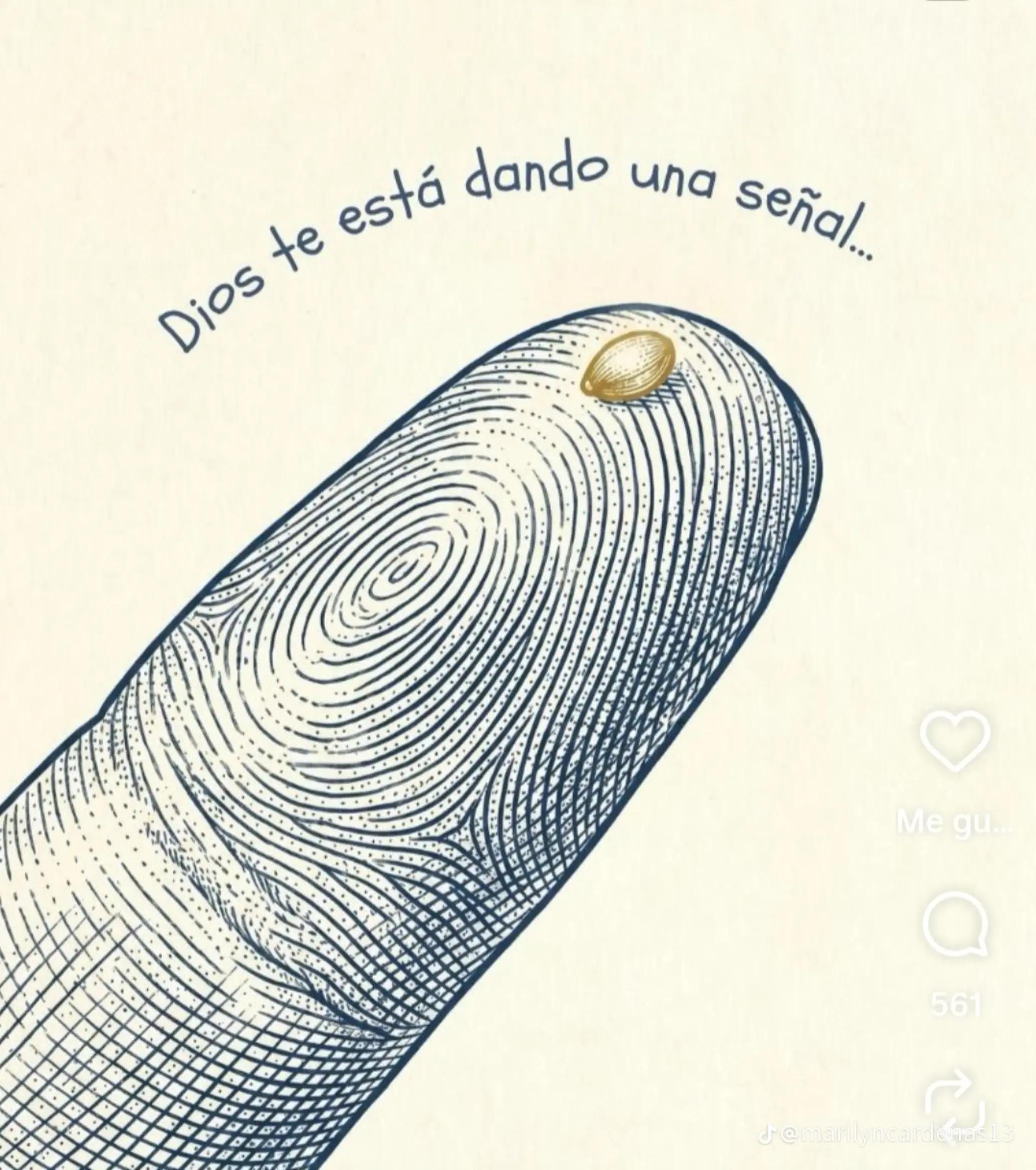 @Shila