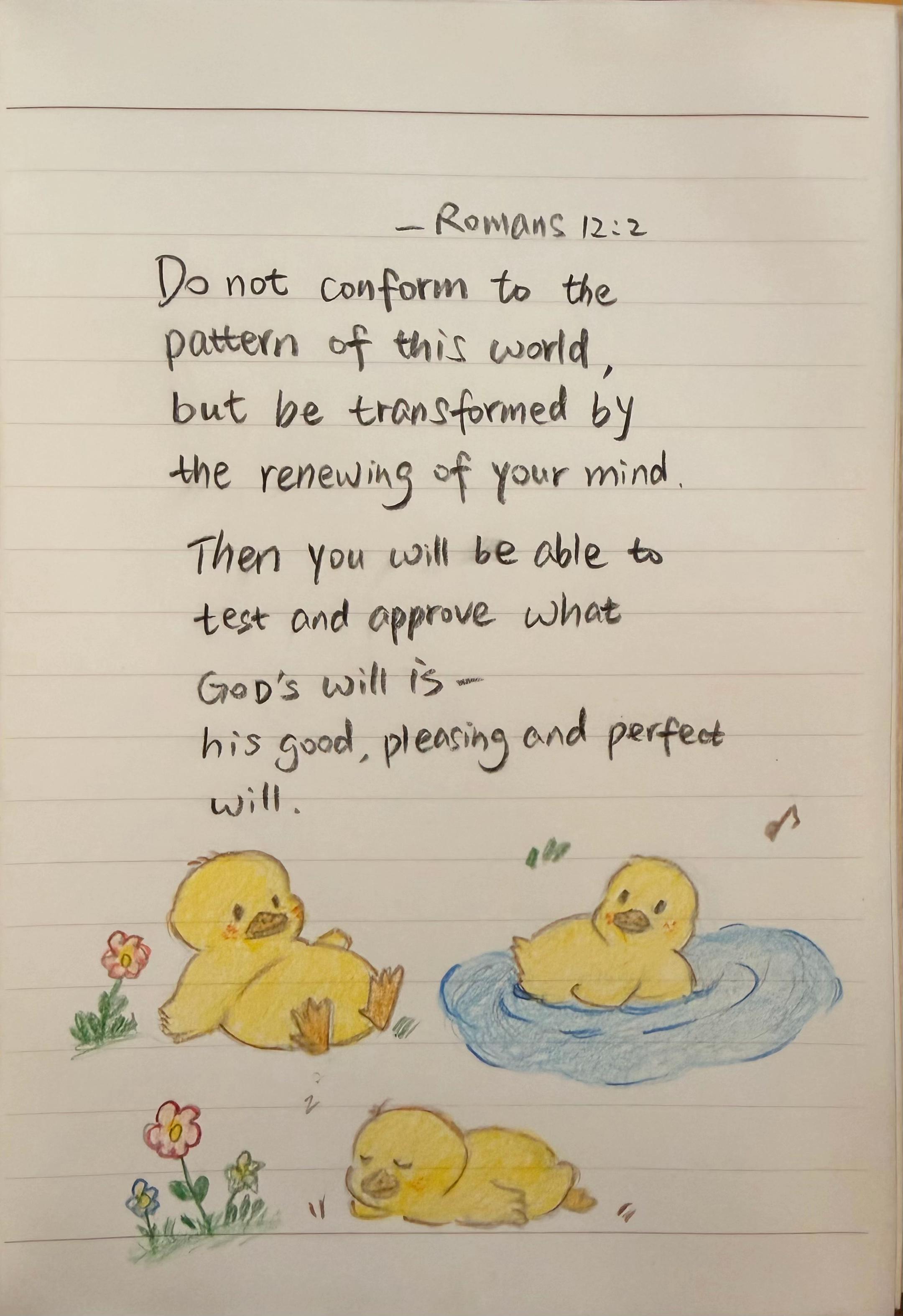 @Karen Yang