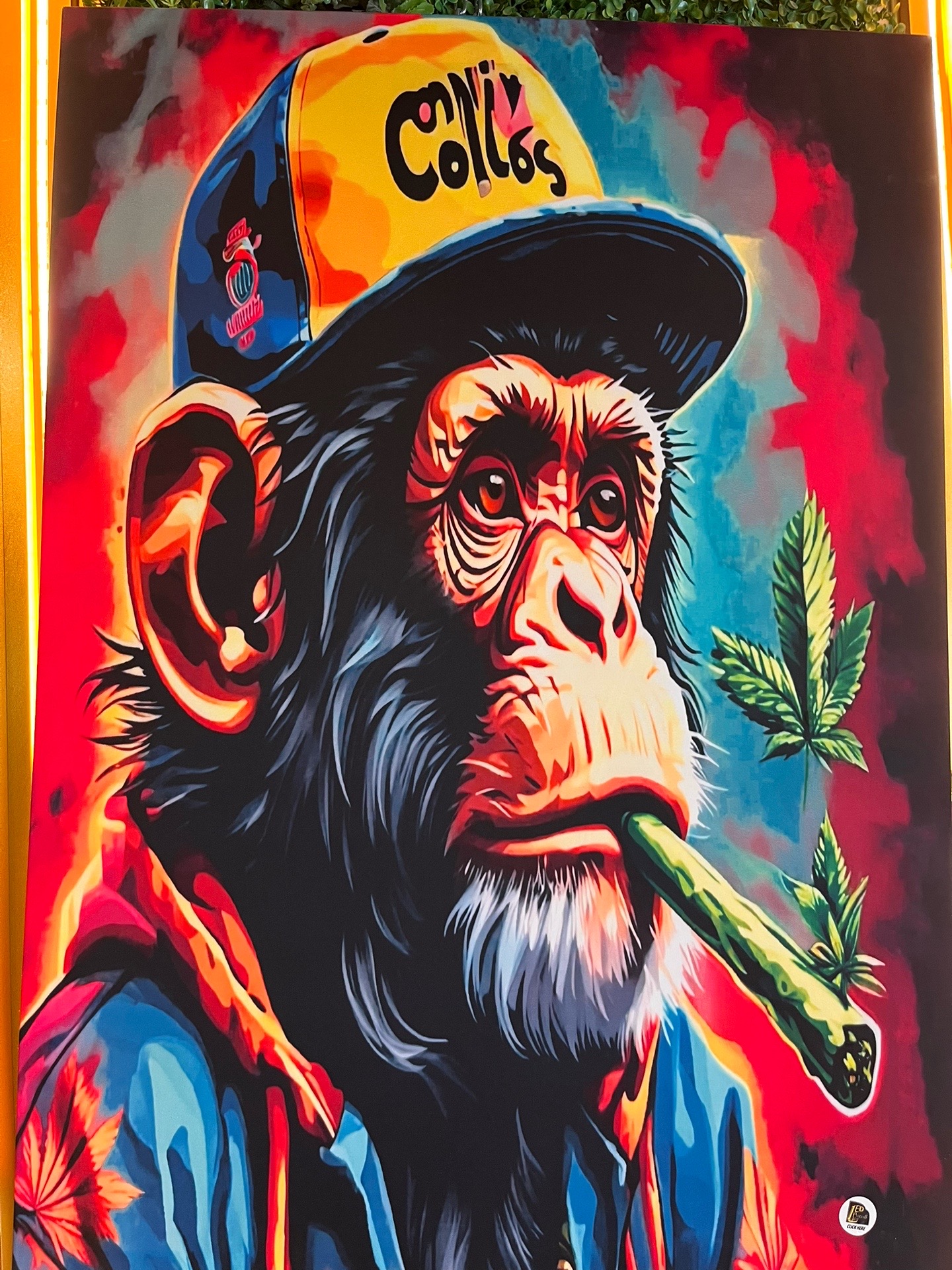 @Dj coolie Kartel NiteRiderz🦍