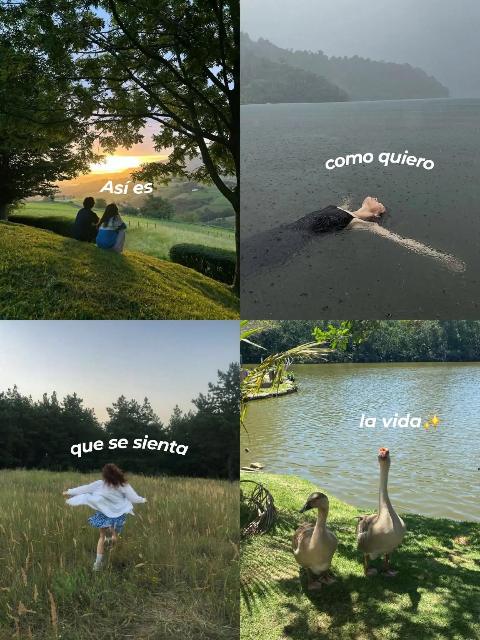 @🤍