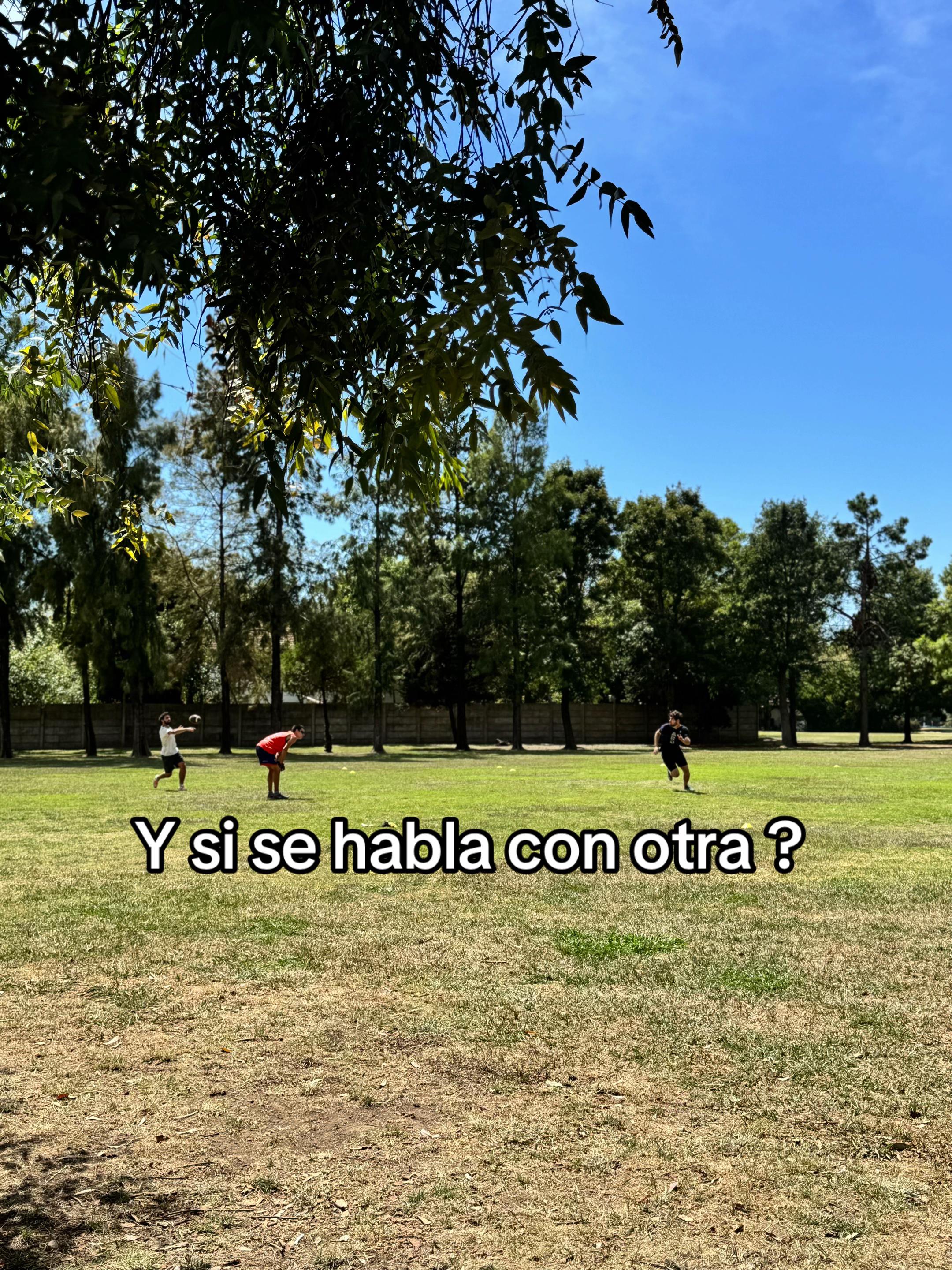 @iara Morales
