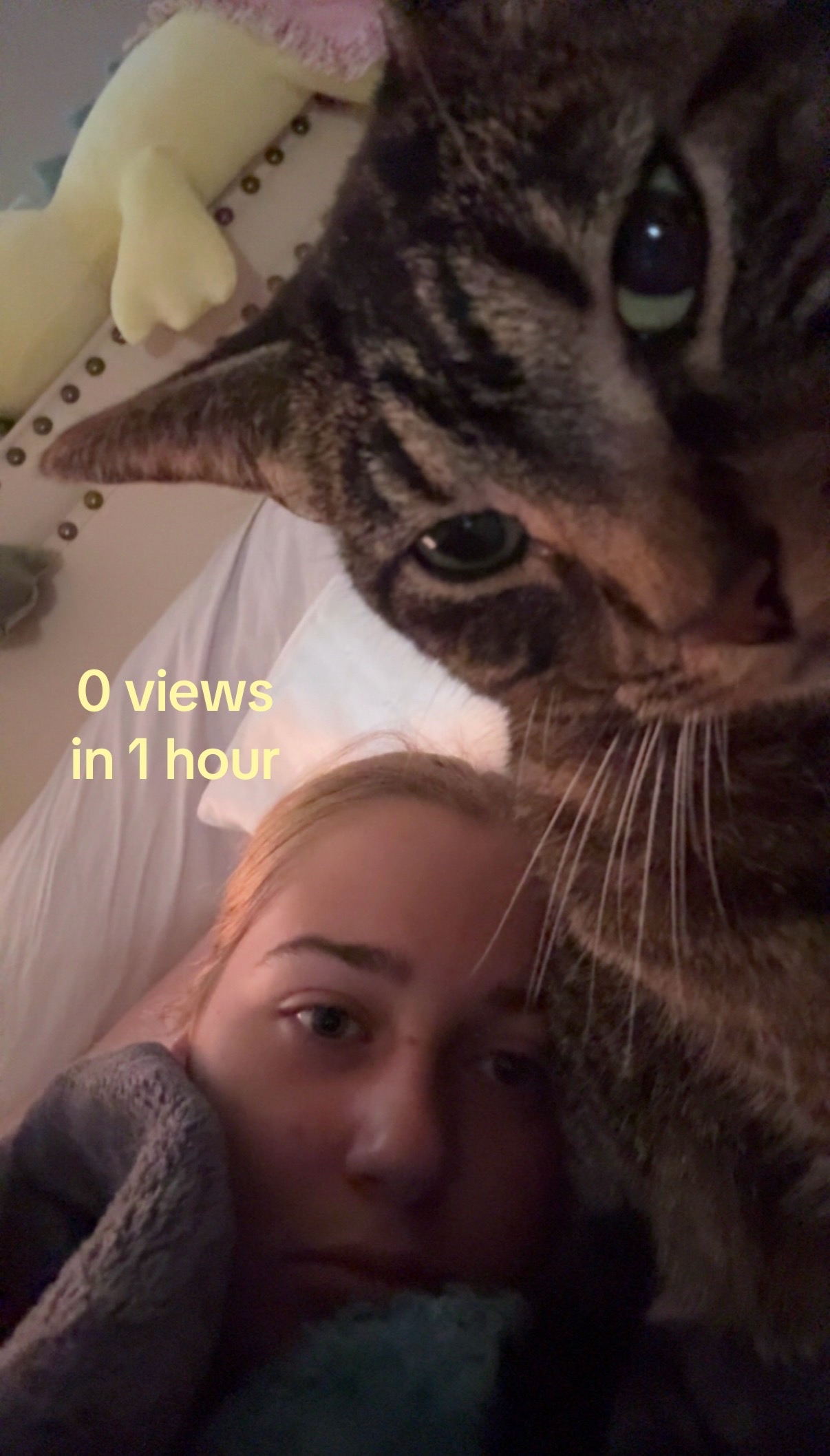 @️