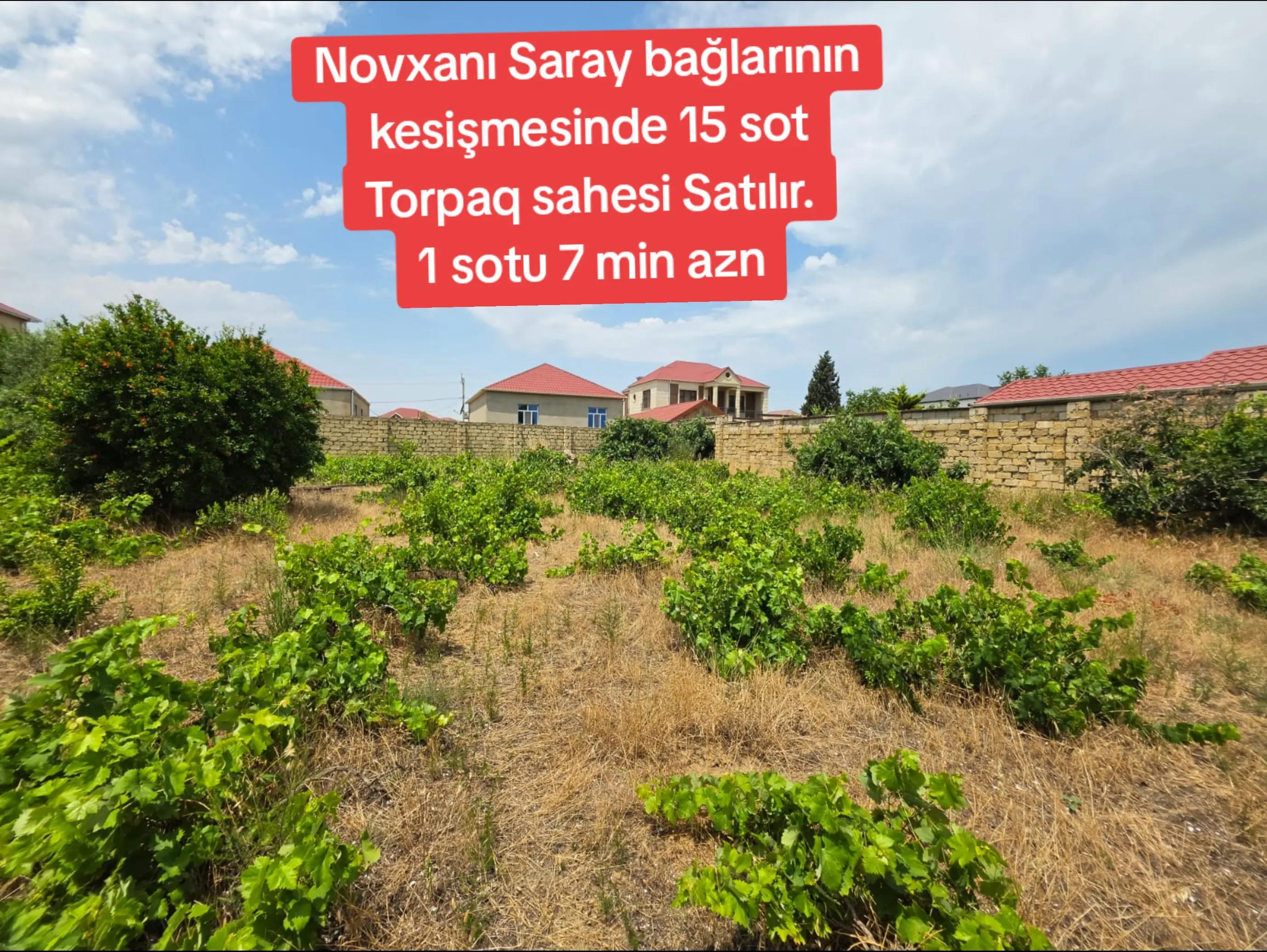 @Novxanı Emlak