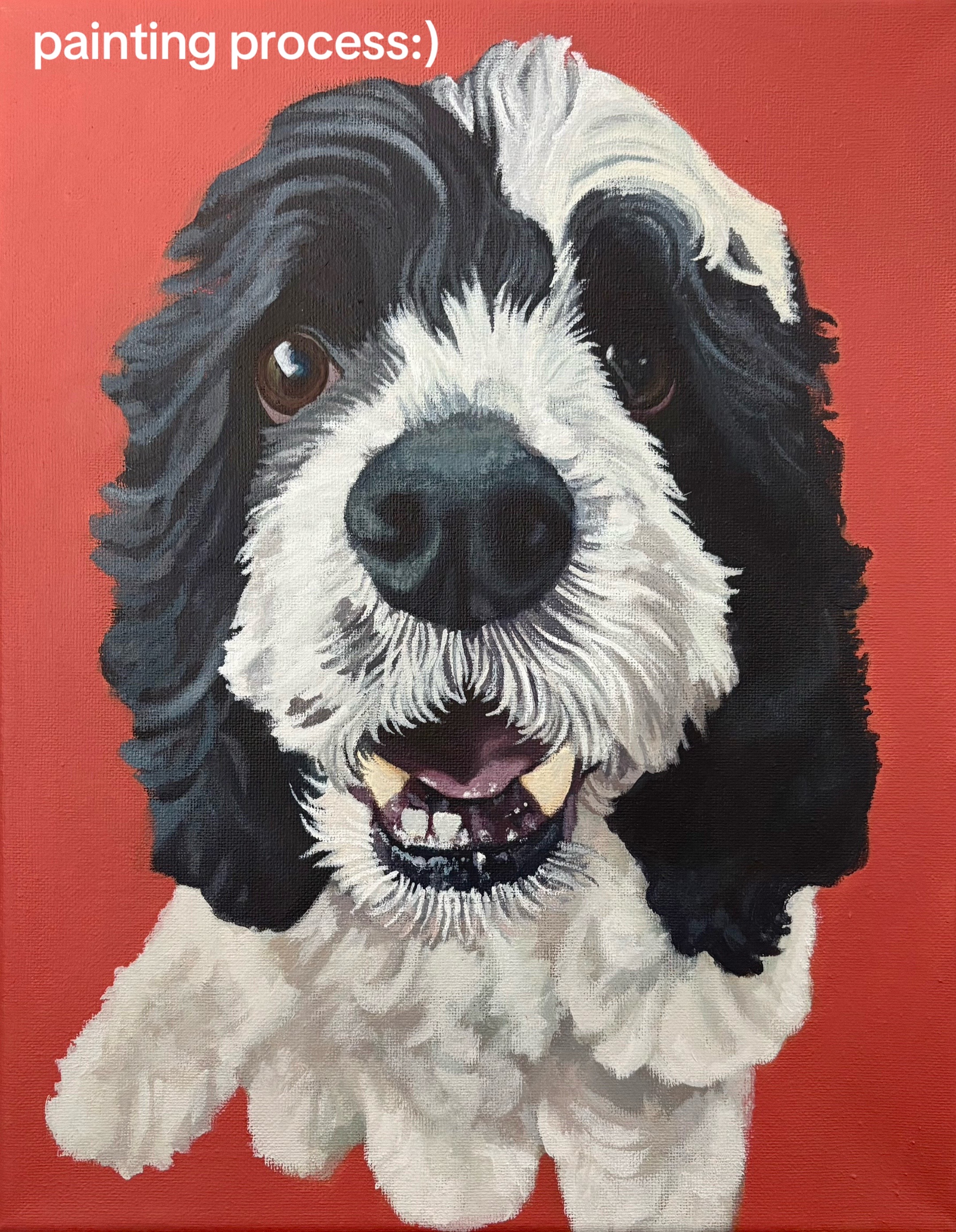@alisonfahyart